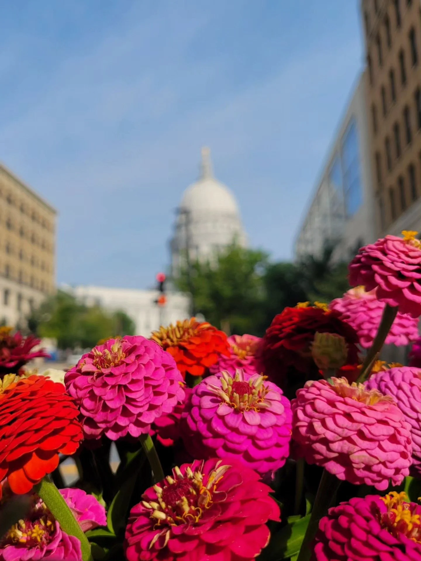 Dane County farmers market