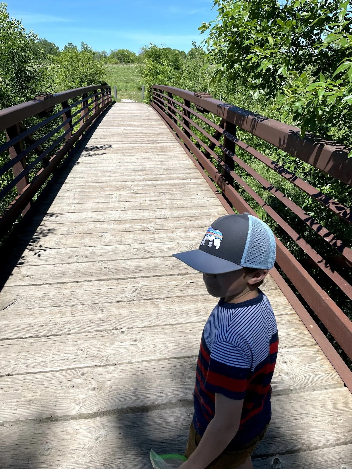 Bridge