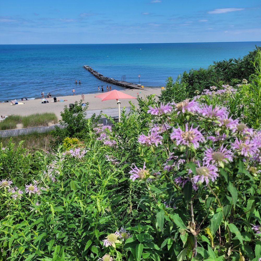 Protecting Our Waters: Shorewood Waters Project
