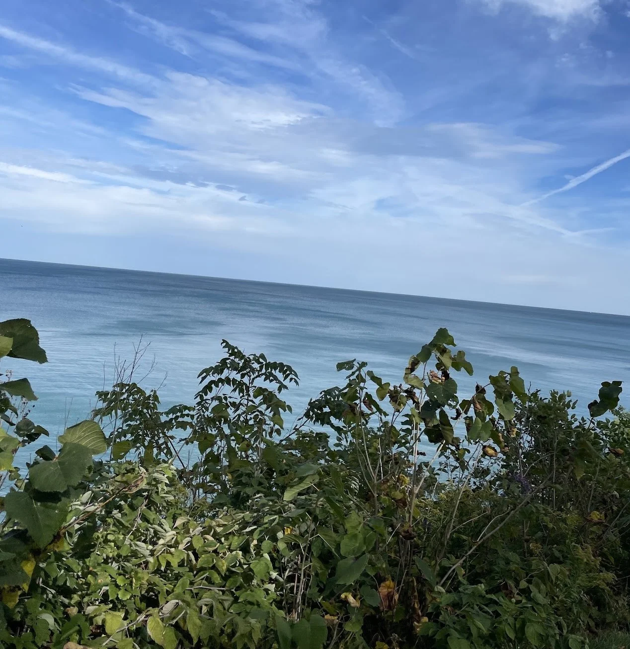 Bluff