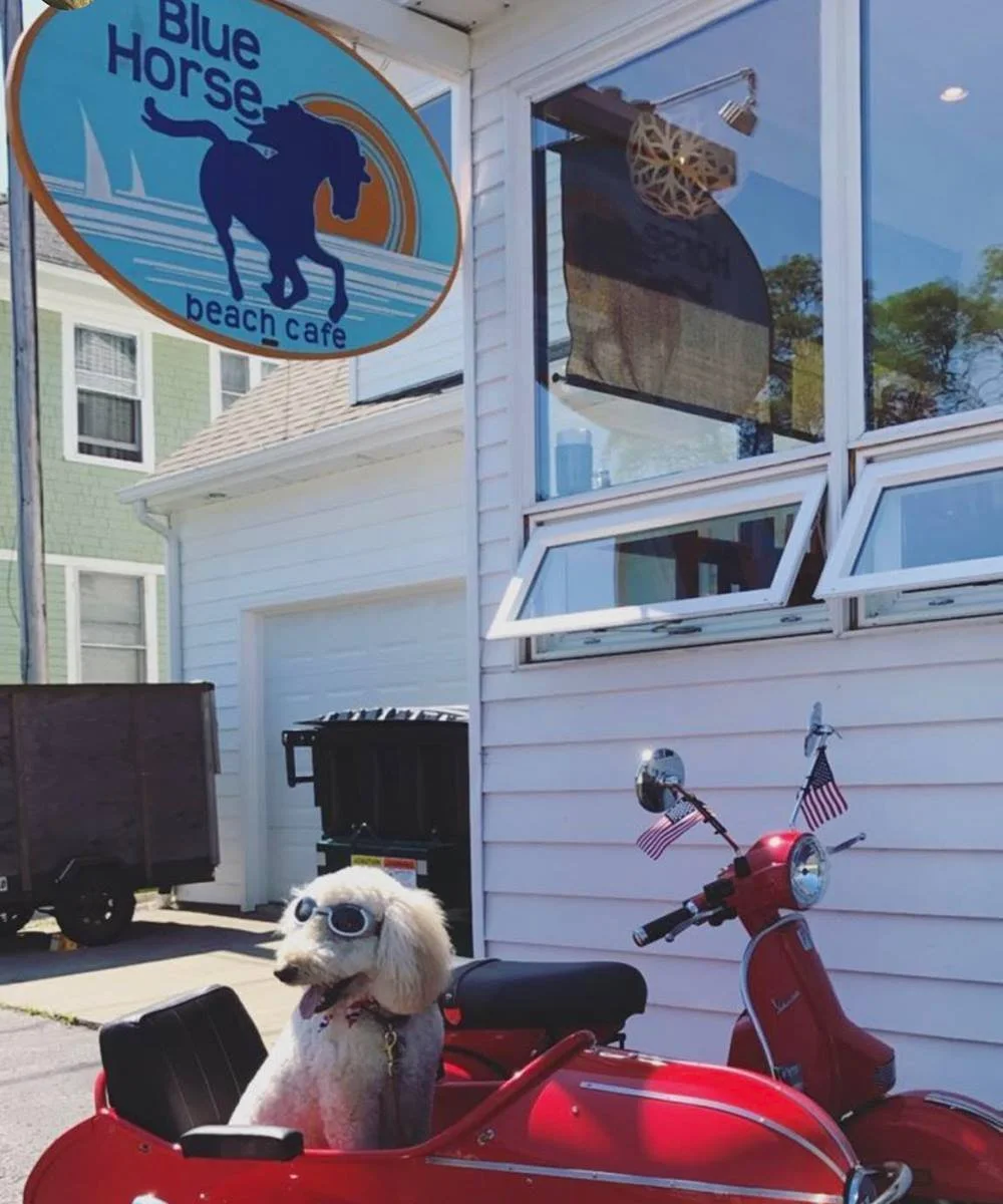 Blue Horse Beach Cafe