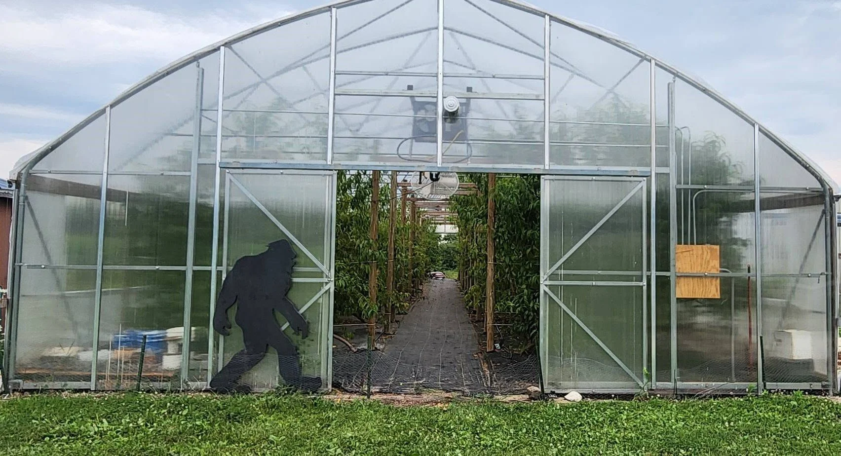 Bigfoot Peach House