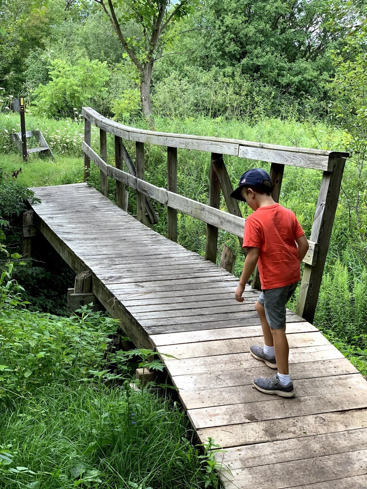 Kettle Moraine State Forest – Southern Unit