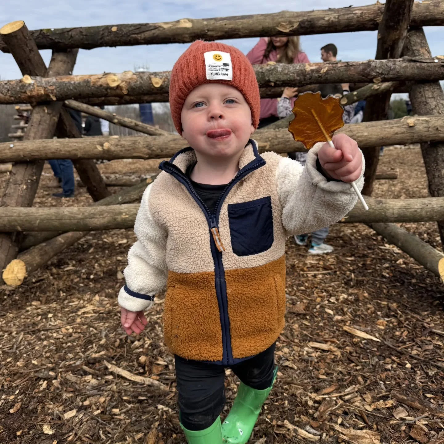 Maple fest