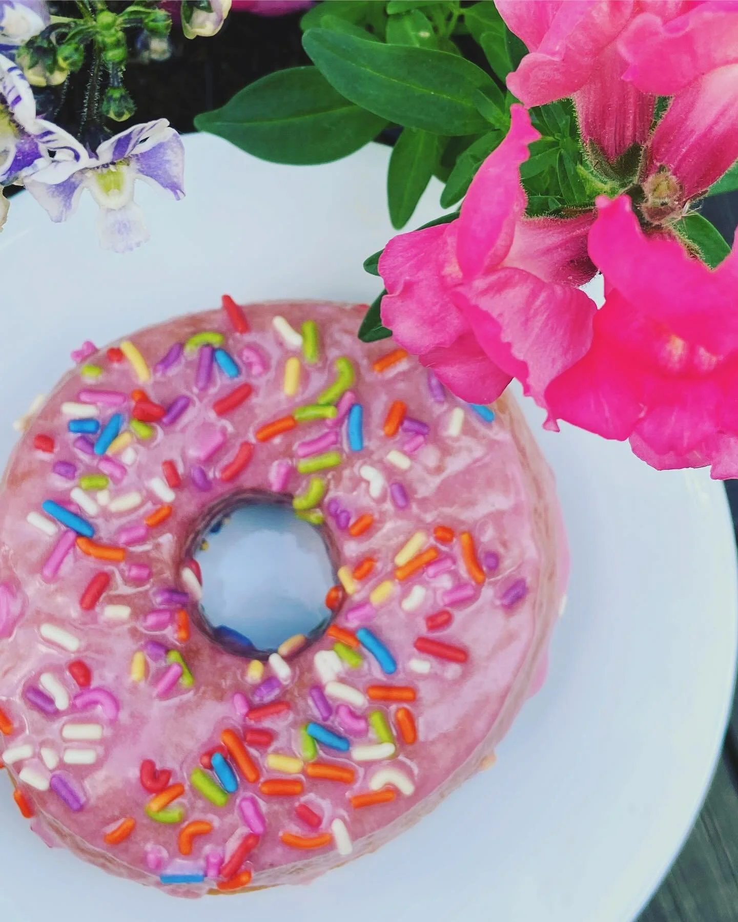 DONUT