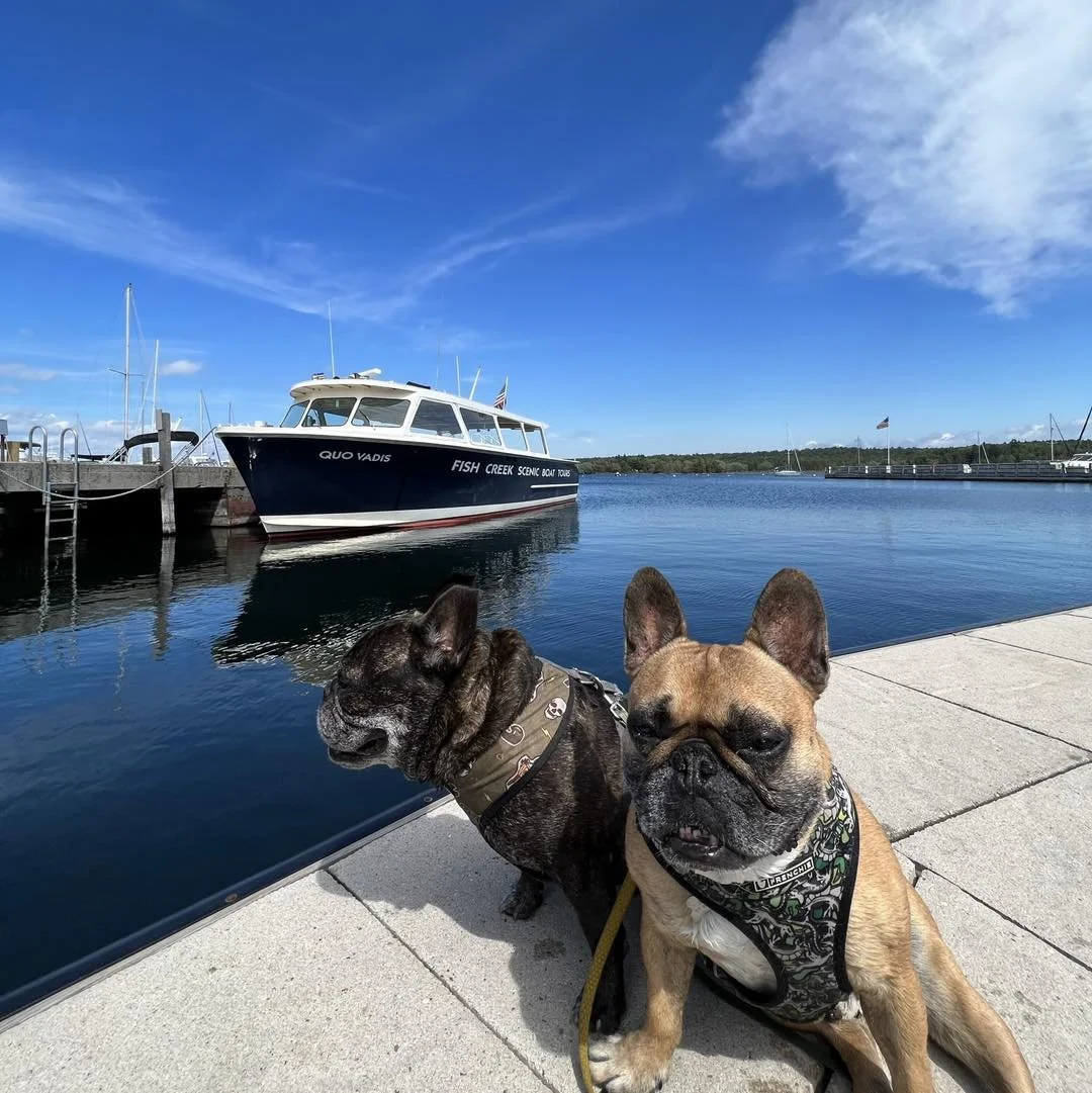 Fish Creek Scenic tours