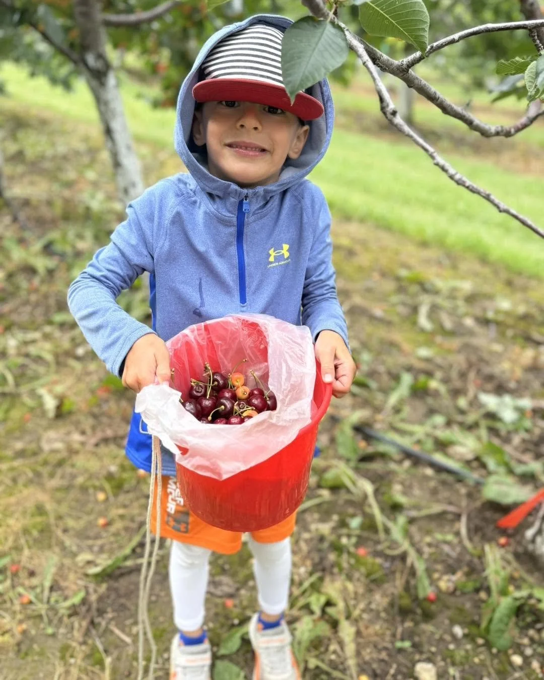 Seaquist Orchards