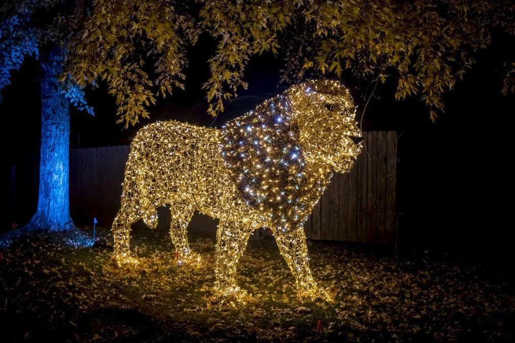 Milwaukee County Zoo Wild Lights 2025: A Family Guide