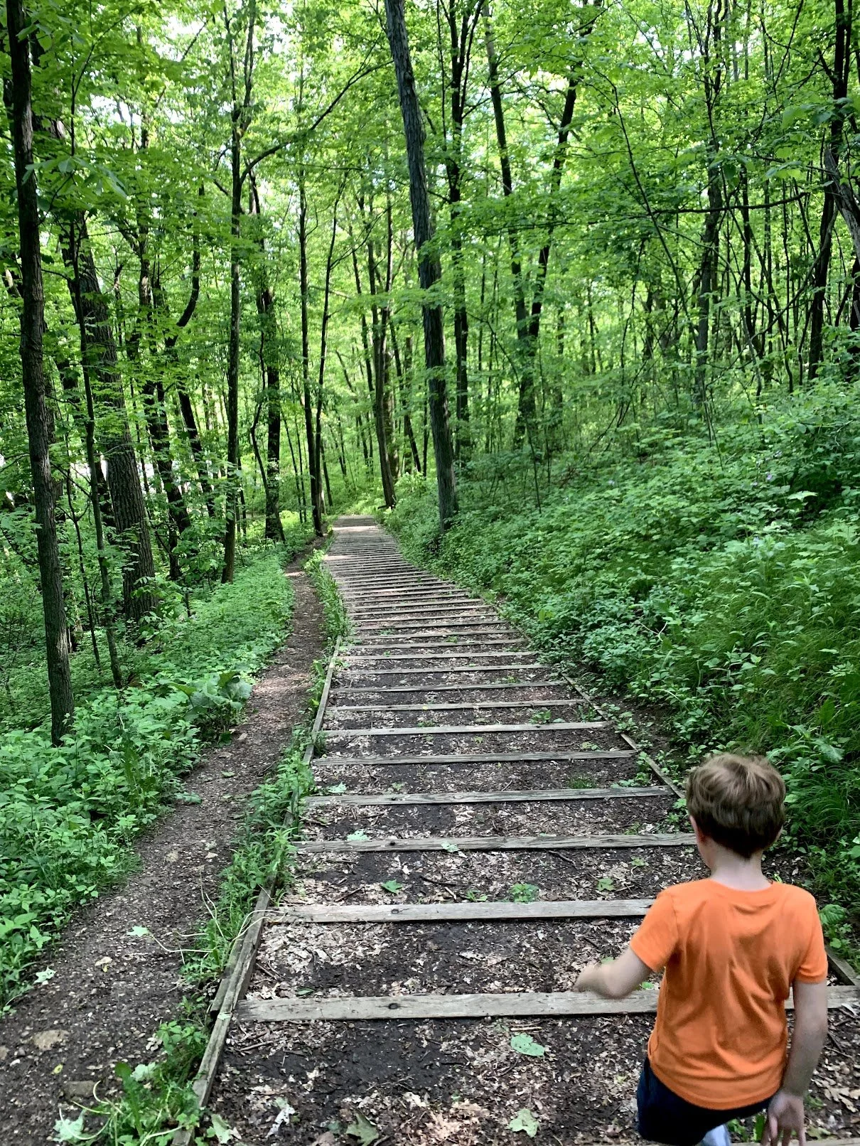 Kettle Moraine State Forest – Northern Unit
