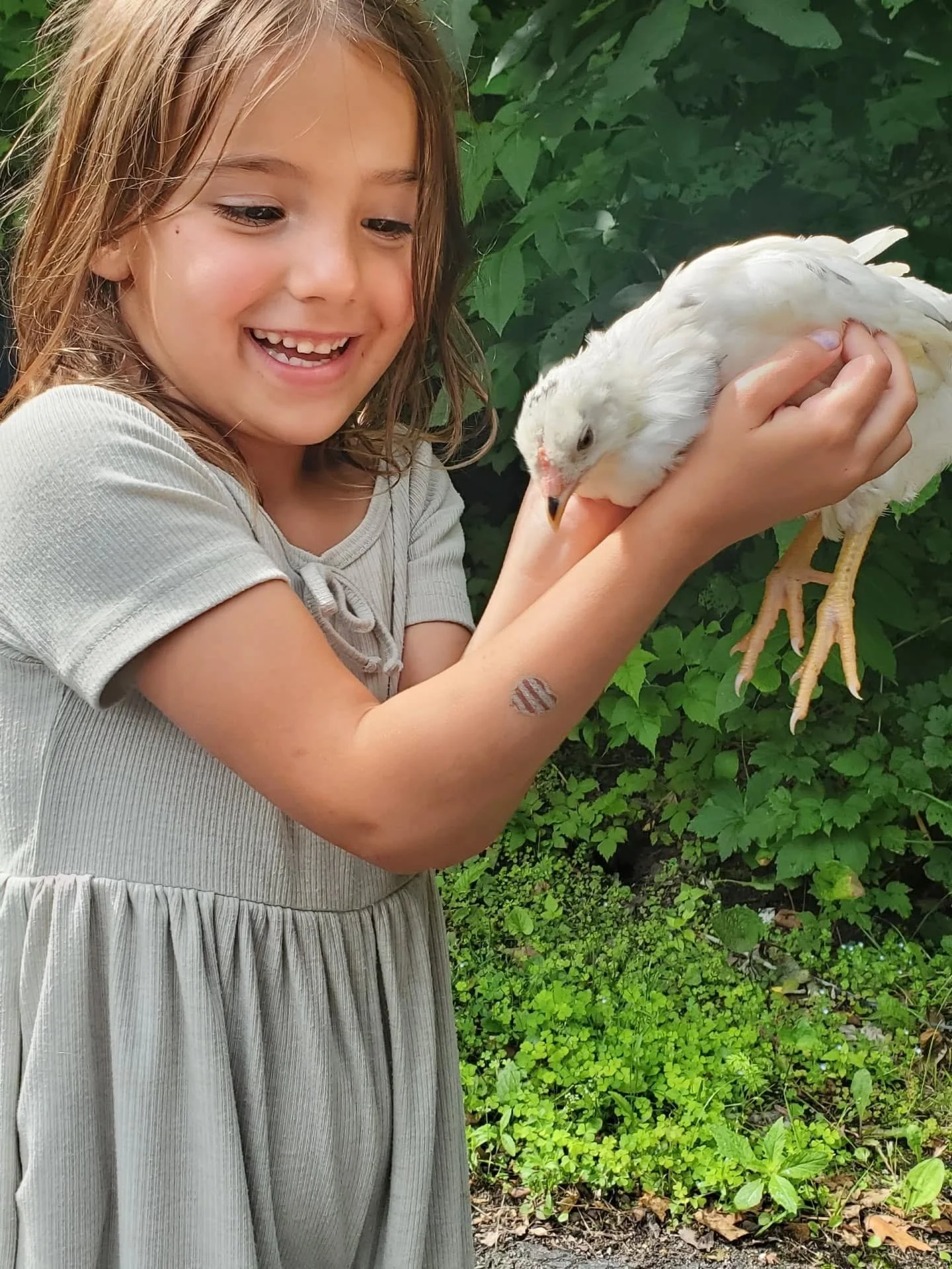 farm life