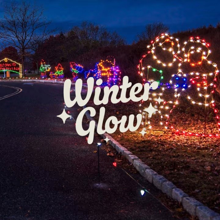 Winter Glow Experience: A Drive-Thru Holiday Light Show