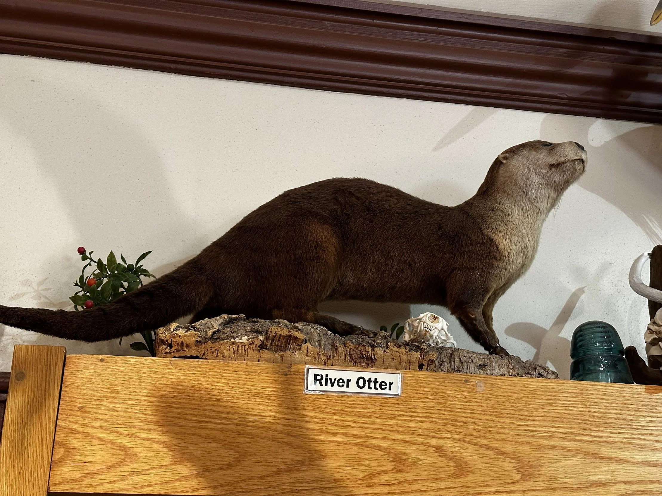 Nature center