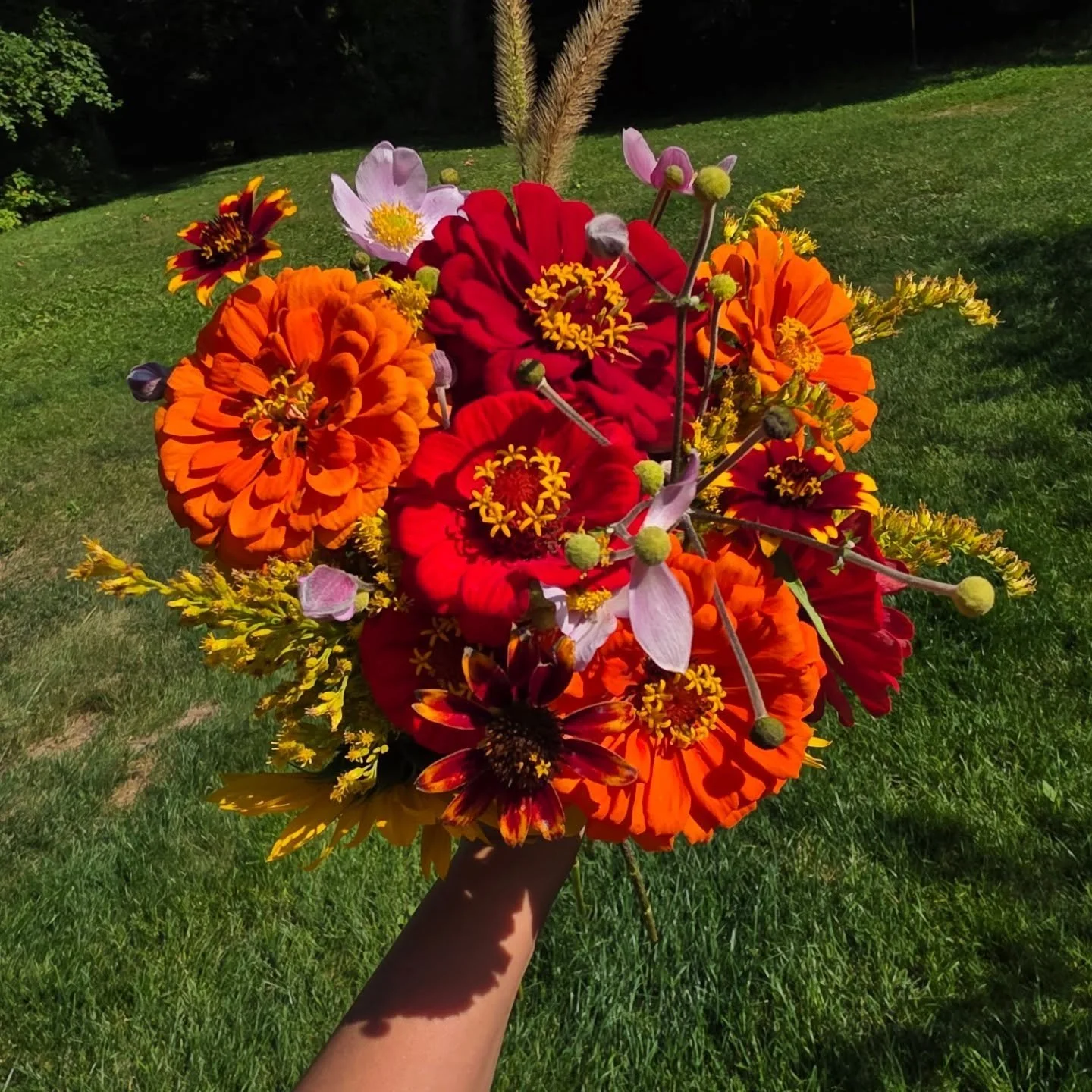 Flowers