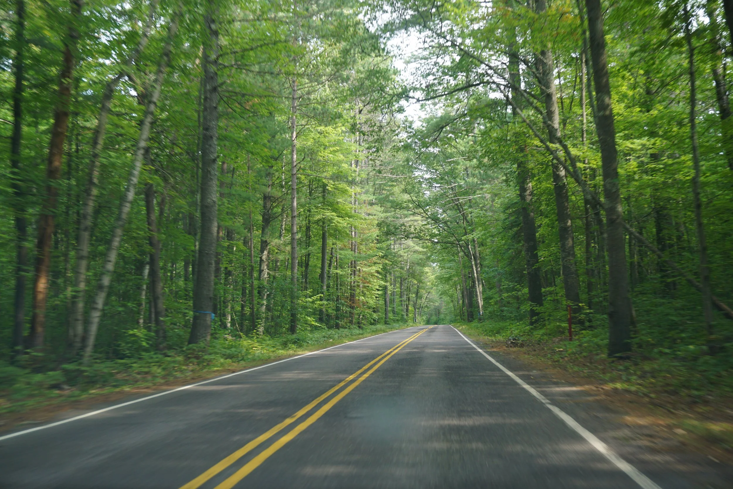 Northeast · Vilas County  R-60: WisconsinRusticRoadR60.jpg Wooded section of the designated road; photographed September 9, 2023.