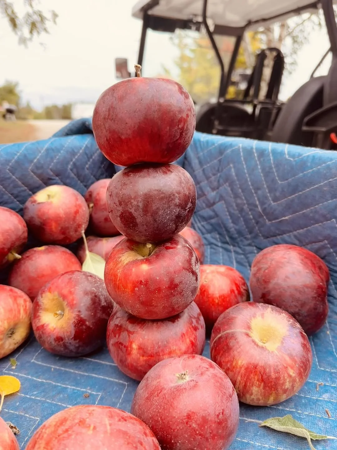 Robertson Orchards of Door County