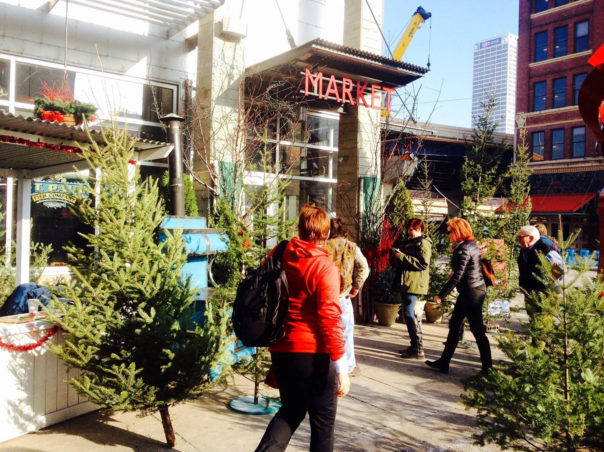 Charlie brown christmas trees