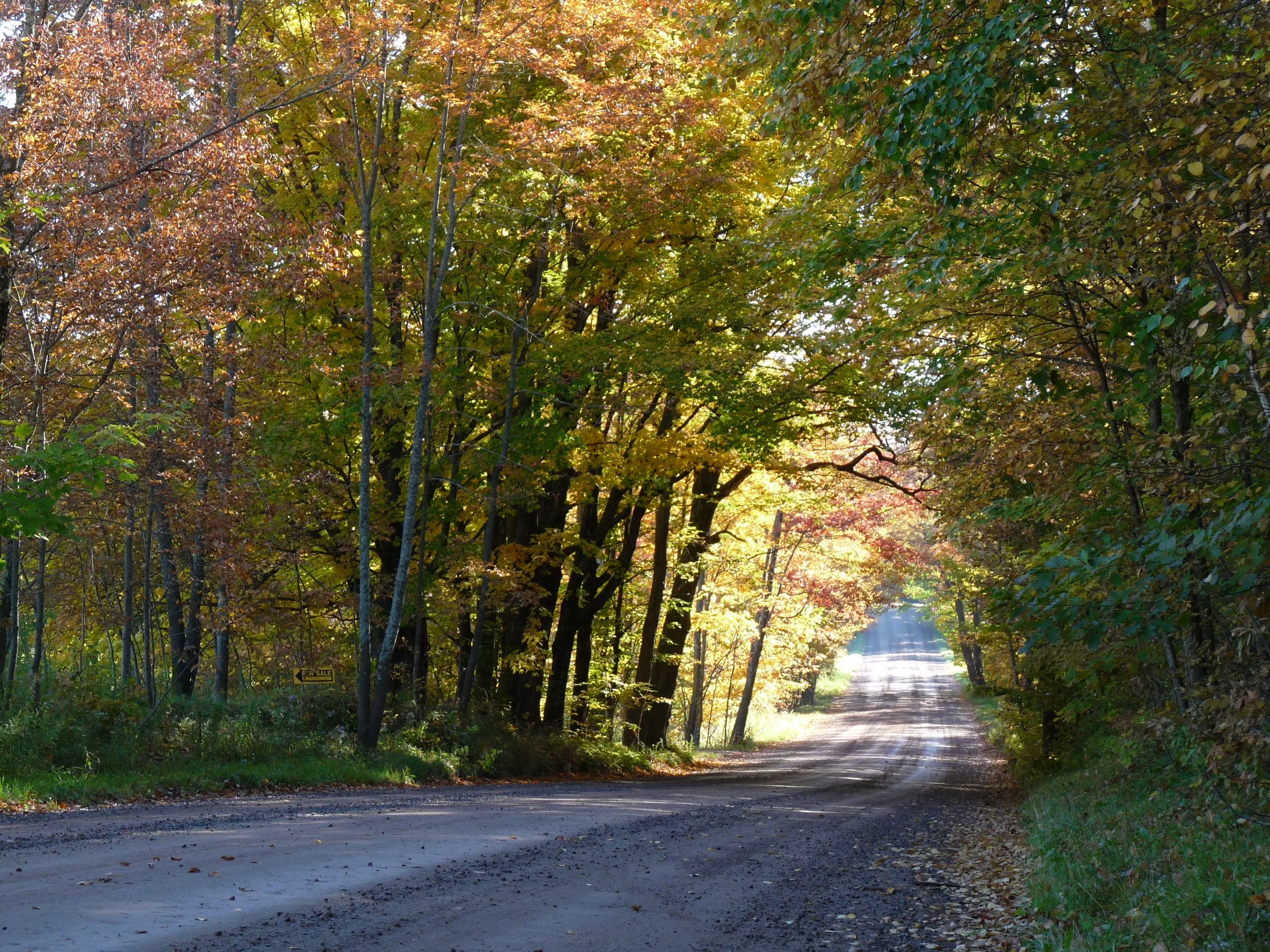 “Rustic Road Number 1.jpg” — Jeff the quiet, via Wikimedia Commons. CC0 1.0: https://creativecommons.org/publicdomain/zero/1.0/ Source: https://commons.wikimedia.org/wiki/File:Rustic_Road_Number_1.jpg