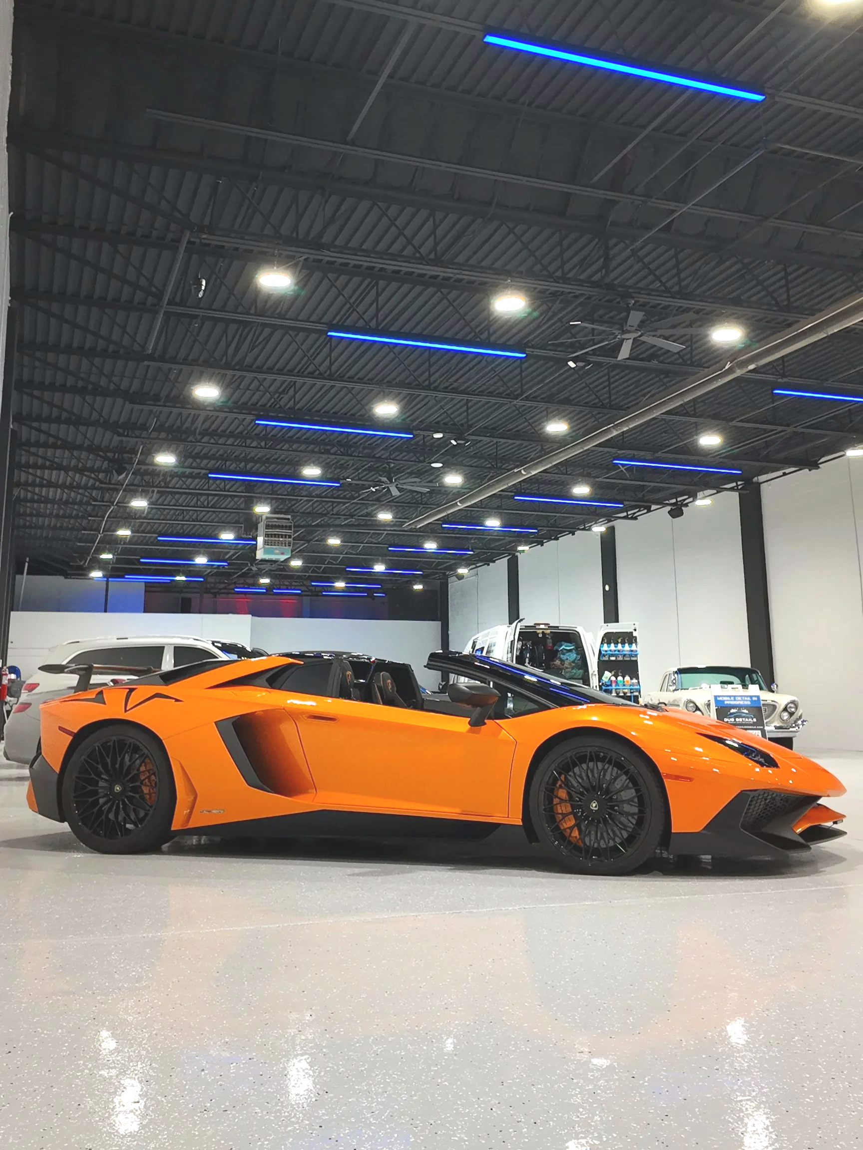 Boutique exterior detailing on a Lamborghini Aventador SV in Lansing, MI, featuring a multi-stage decontamination wash and hand-applied carnauba wax.