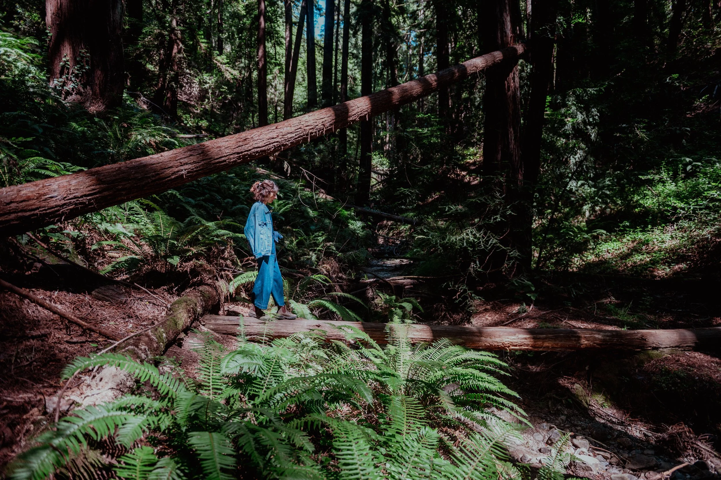 A woman in a blue jacket and pants walking on a wooden trail in a lush, dense forest with tall trees and green ferns.
