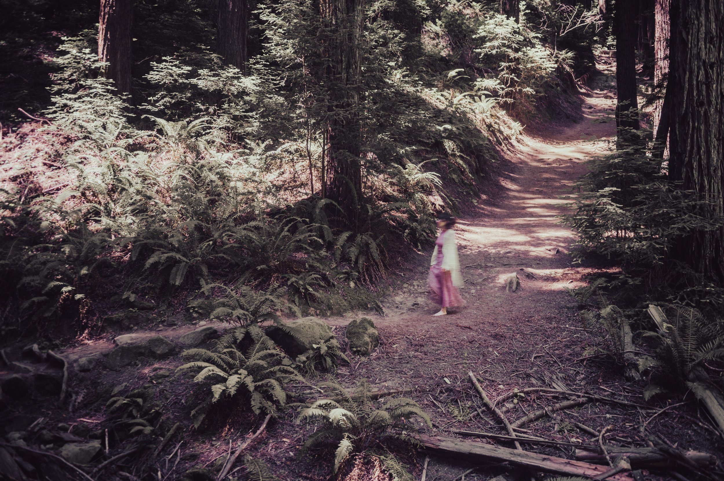 A woman in a pink skirt and white jacket walking on a forest trail surrounded by tall trees and ferns.