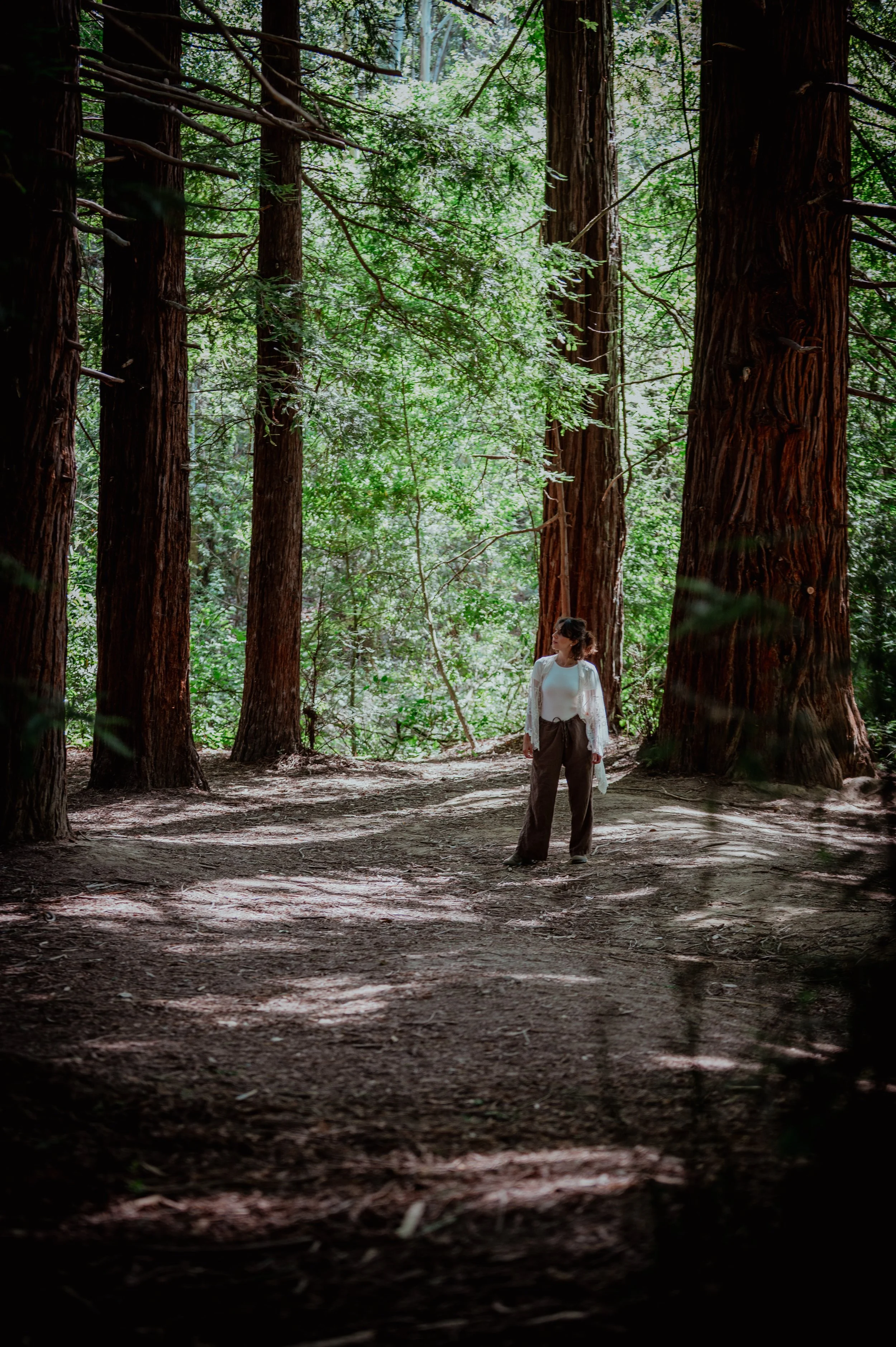 A woman standing in a forest with tall trees and dense green foliage.