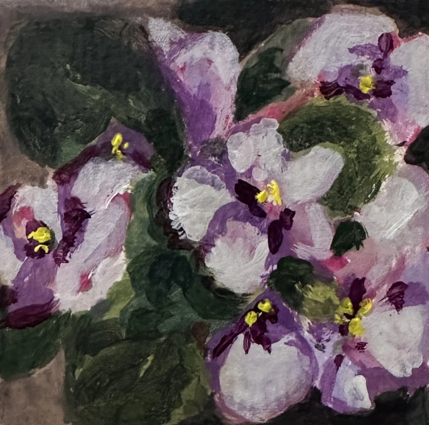 Sidney's Violets.JPG