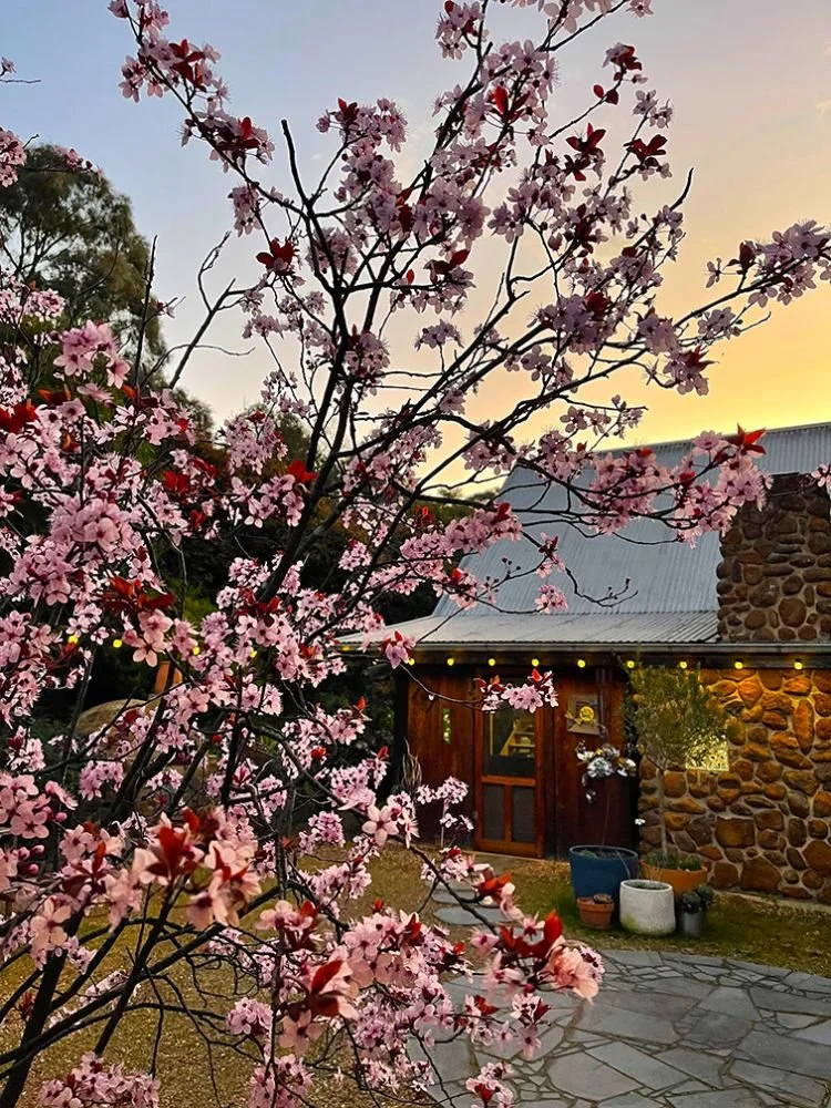 The Wattletree Garden - Open Gardens Vic