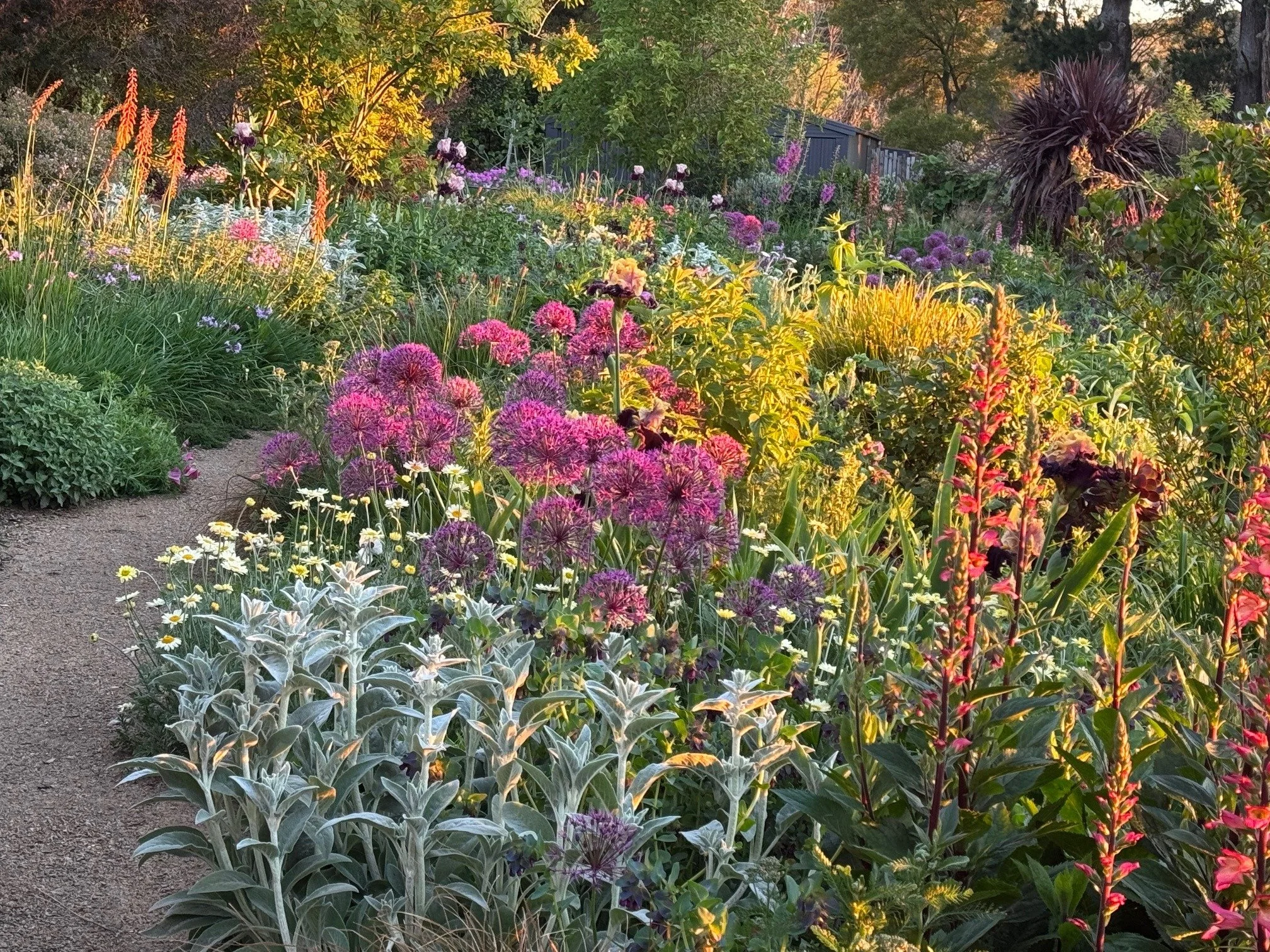 Open Gardens Victoria - Ann-Maree Winter's Garden