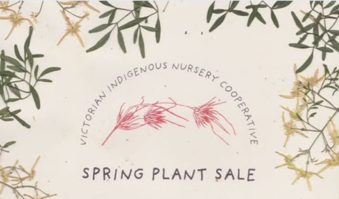 VINC Spring Plant Sale
