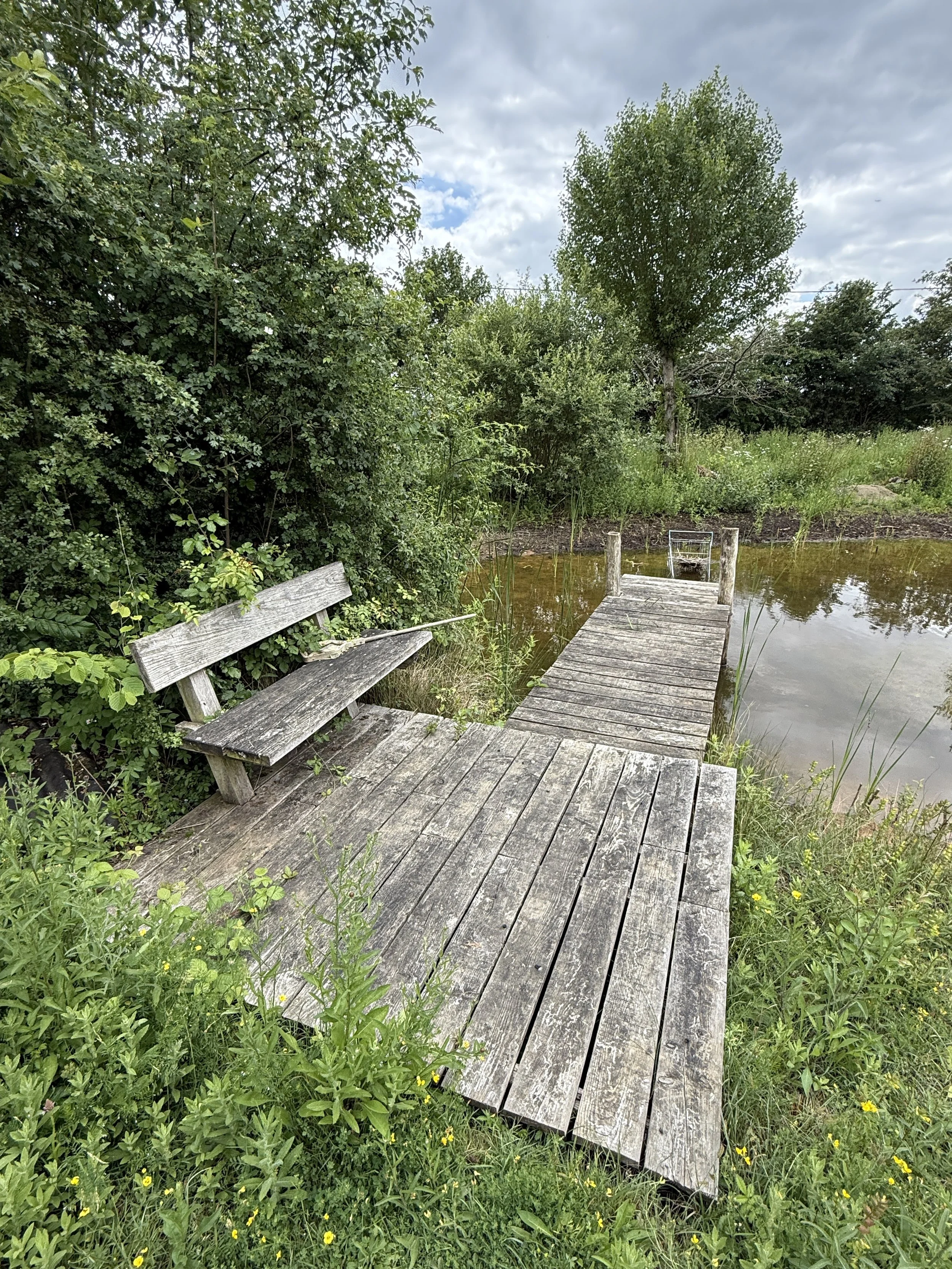 IMG_3556.JPG