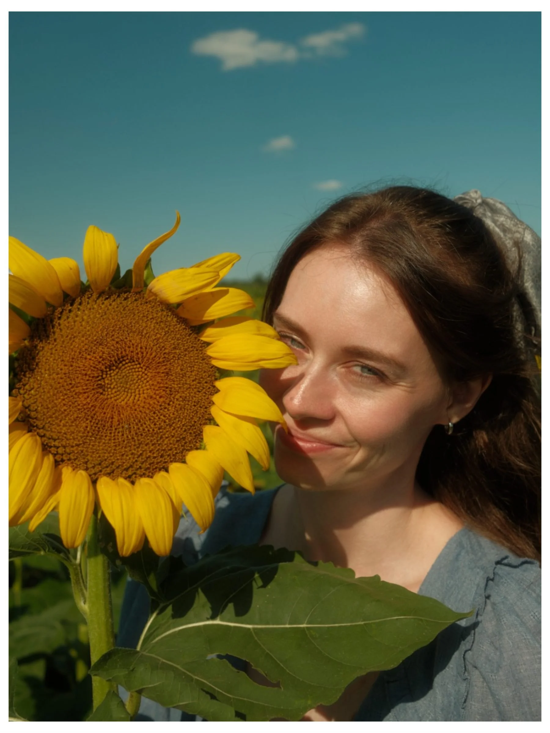 SUNFLOWER_CS_07-26-2026.jpg