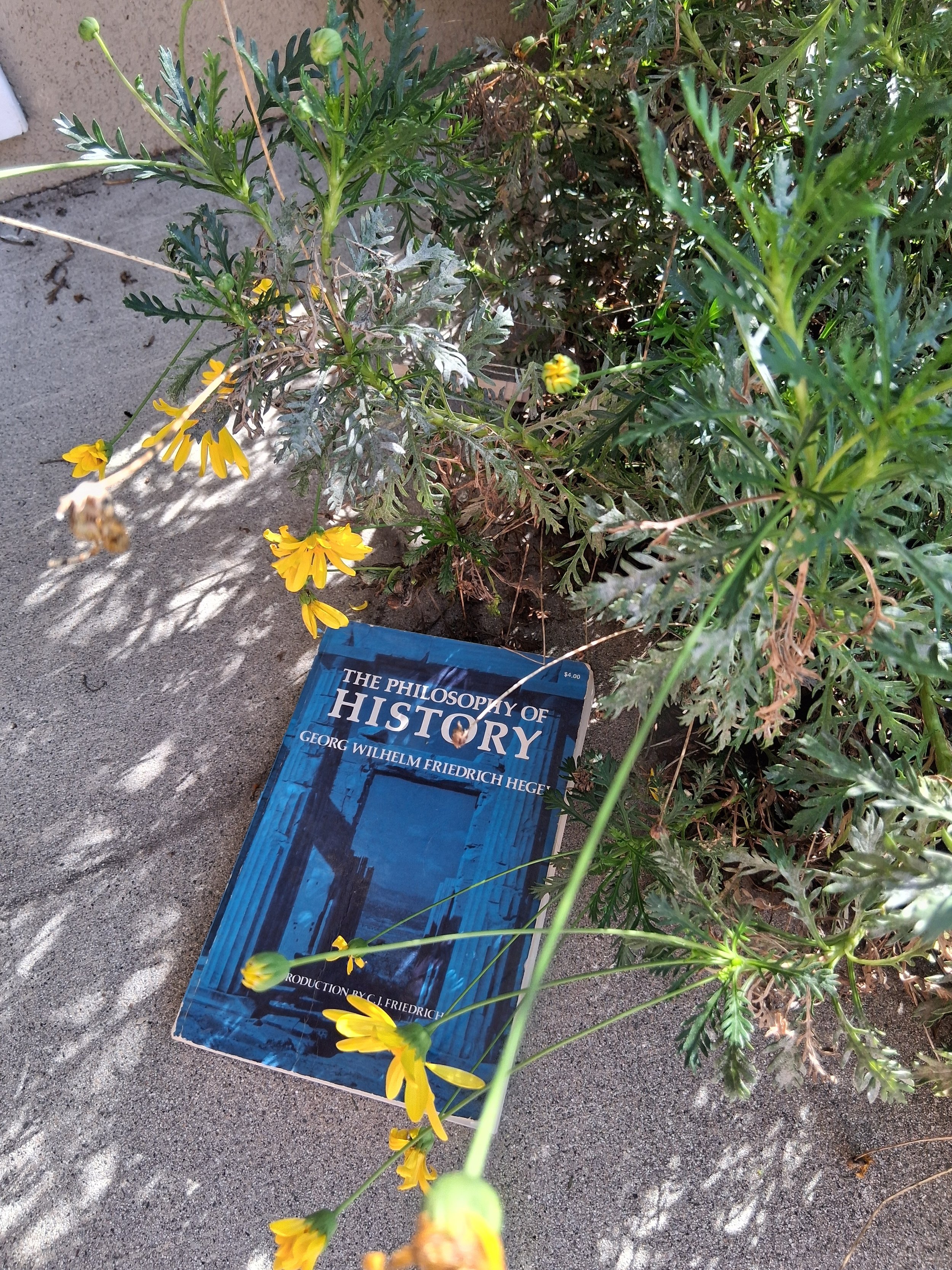 Mother Nature/Father History