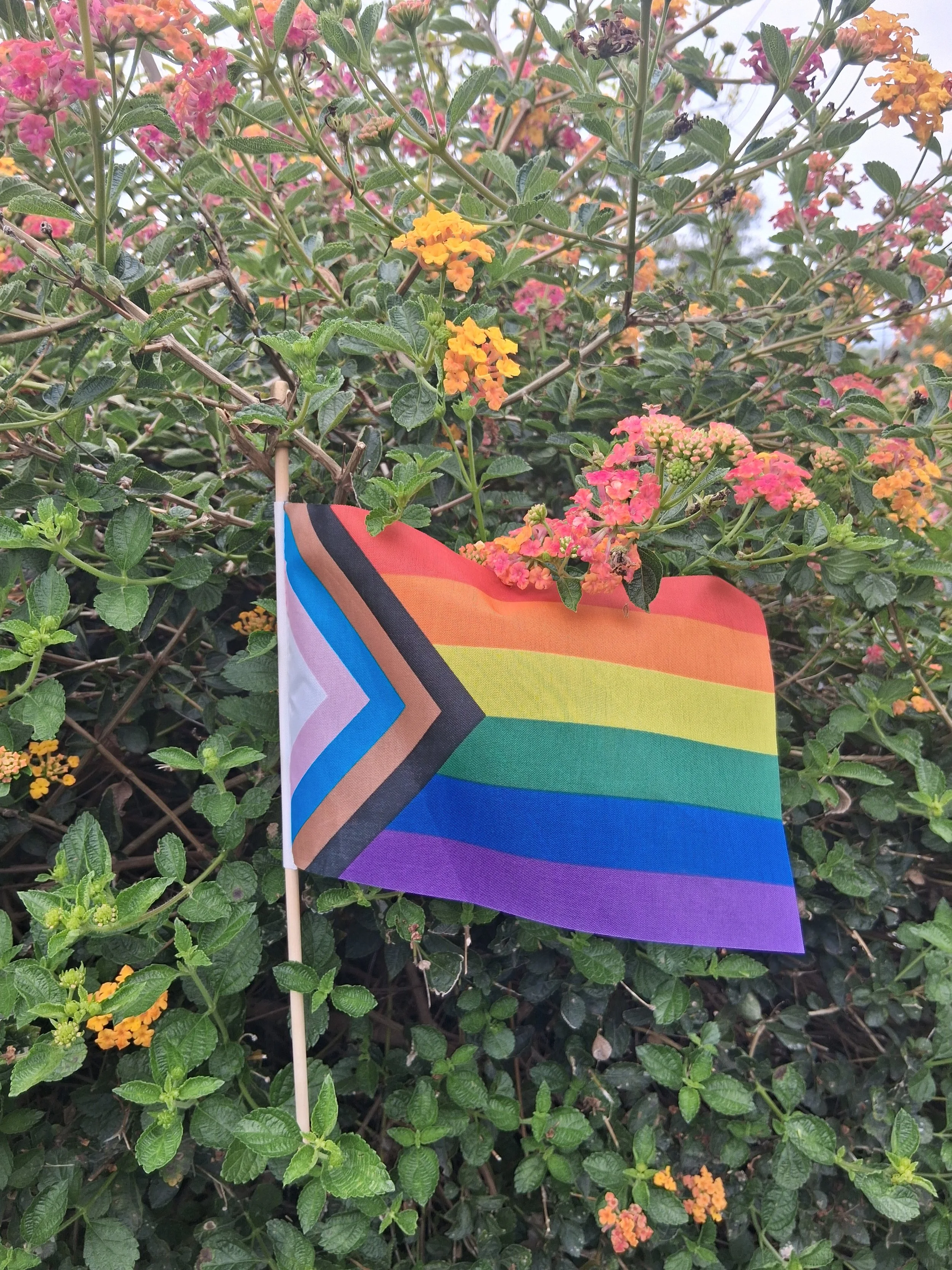 What Pride Means to Me 