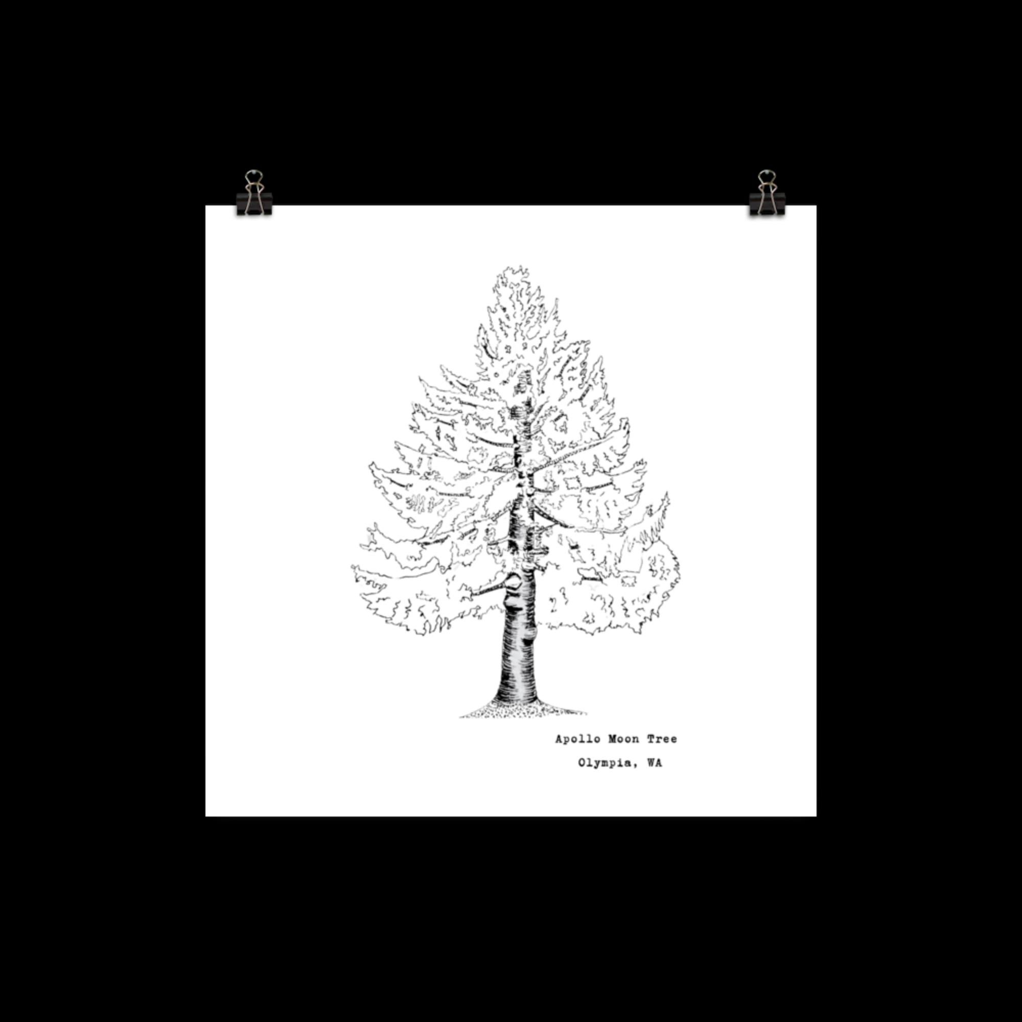 enhanced-matte-paper-poster-(in)-10x10-transparent-680072c3a26f1.jpg