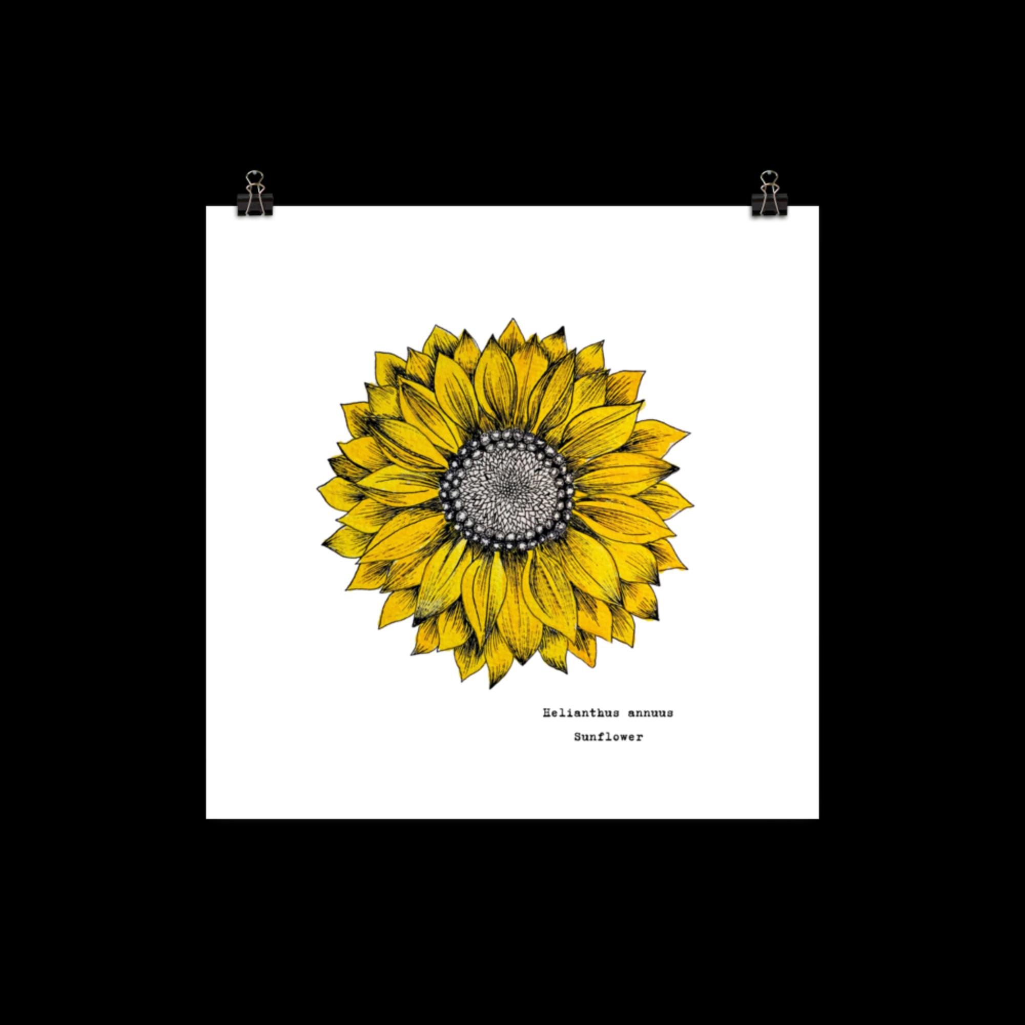 enhanced-matte-paper-poster-(in)-10x10-transparent-68007a1c3489a.jpg