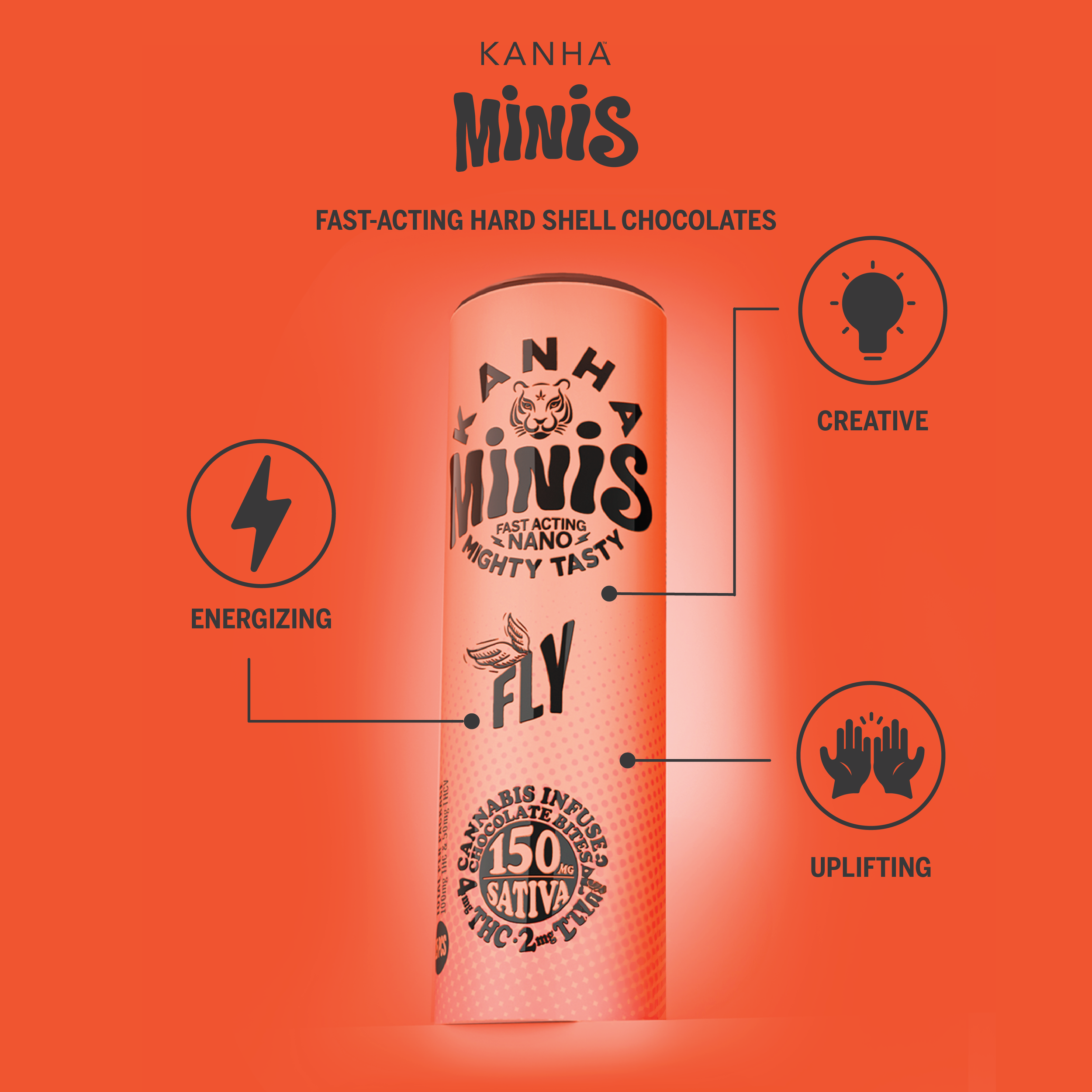 MINIS INFOGRAPHICS-13.png