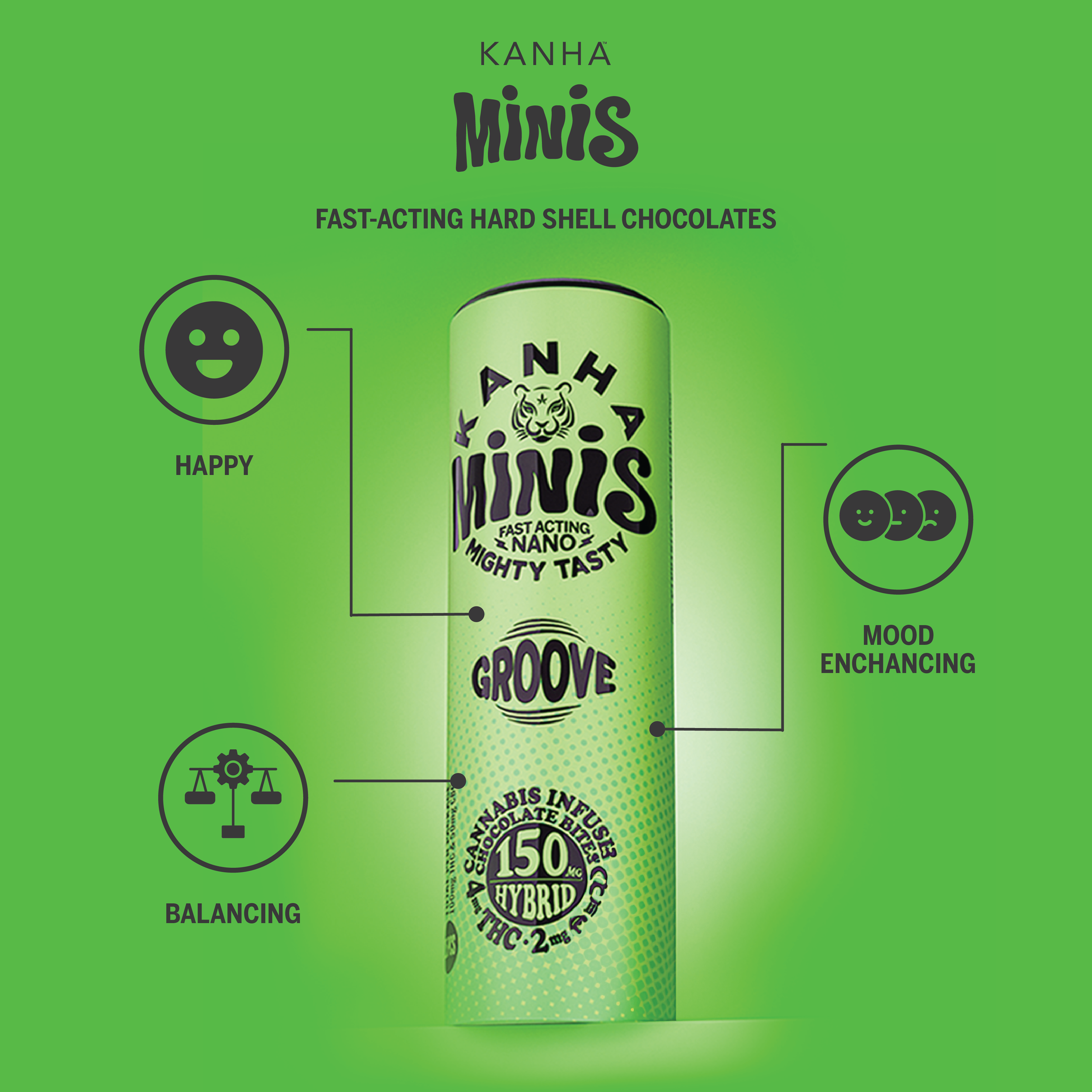 MINIS INFOGRAPHICS13.png