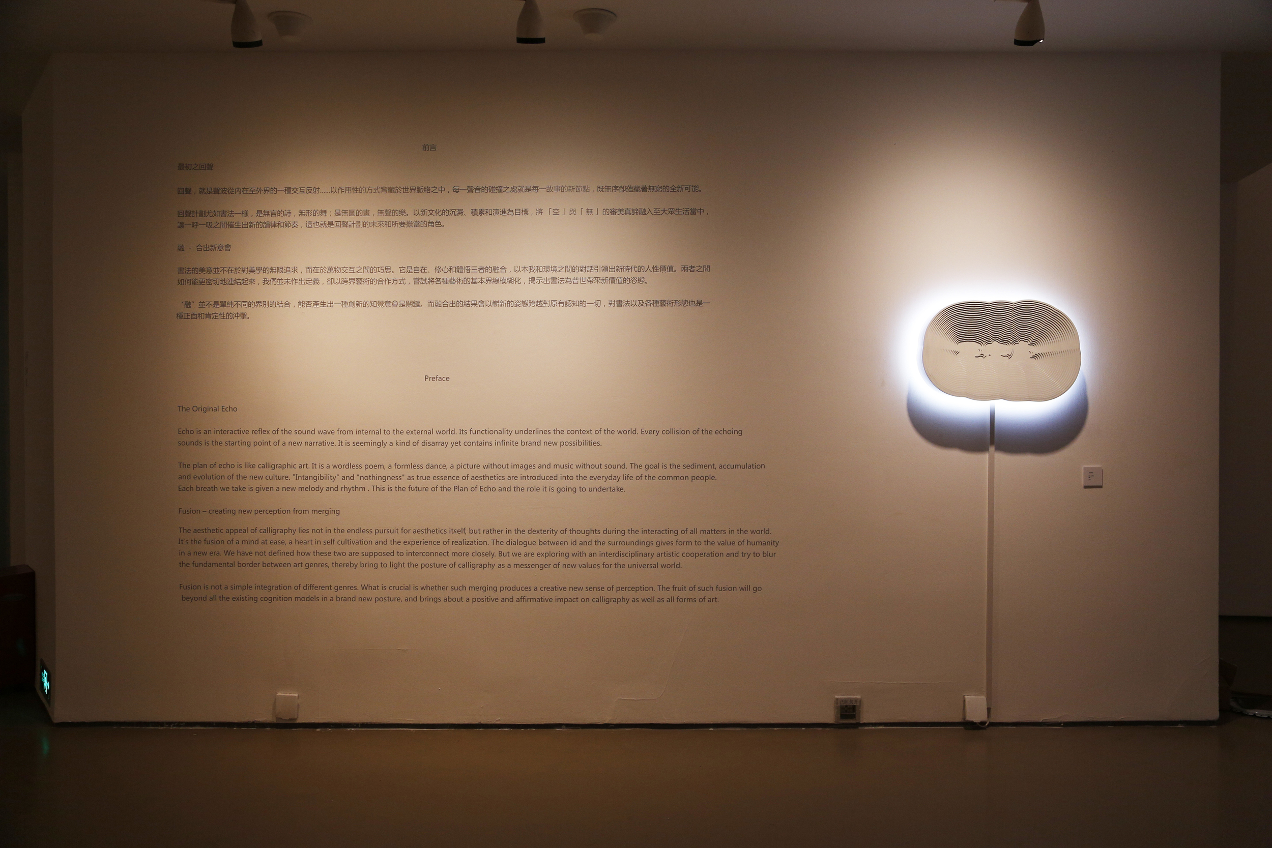 ECHO PROJECT -INTERNATIONAL CROSS BORDER ARTISTIC DISPLAY