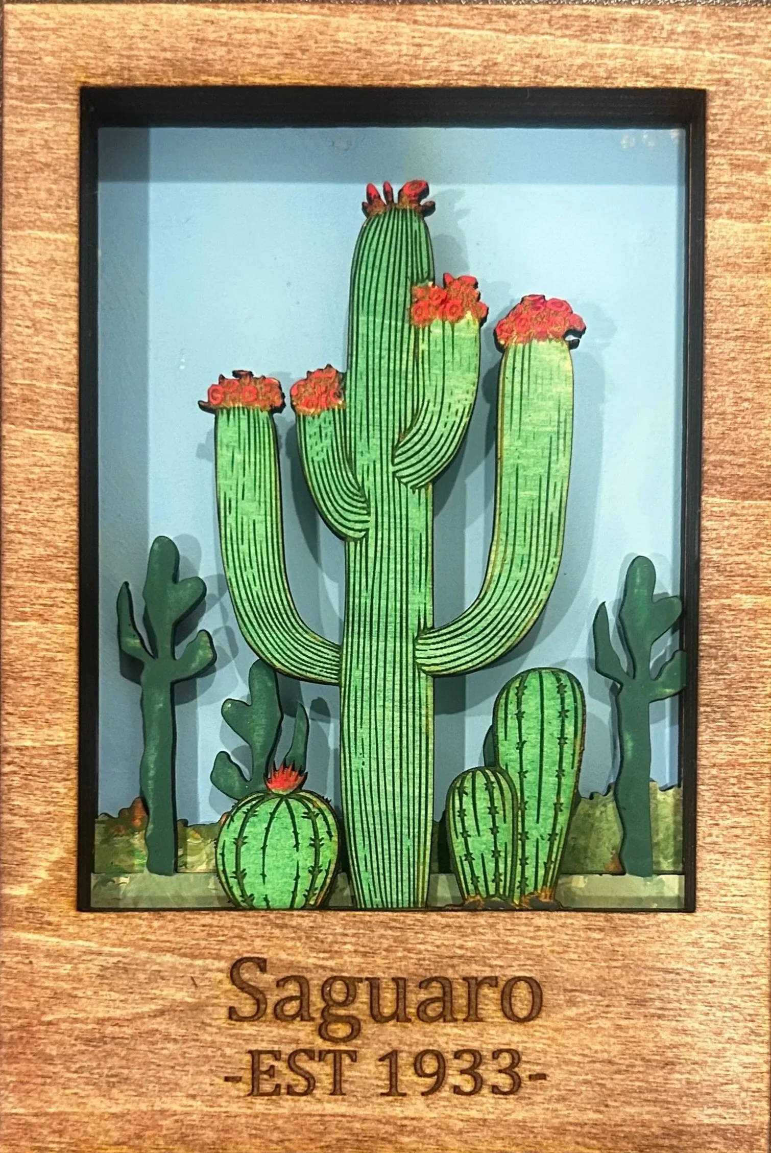 Saguaro National Park