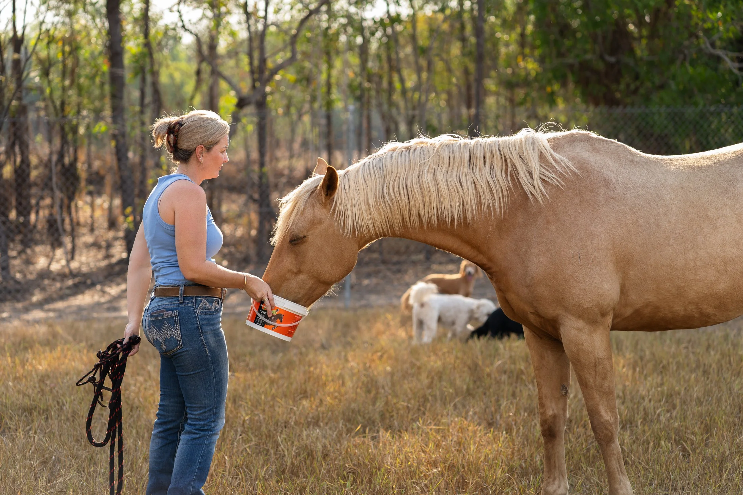 IGP Amy horse test shoot-4.jpg