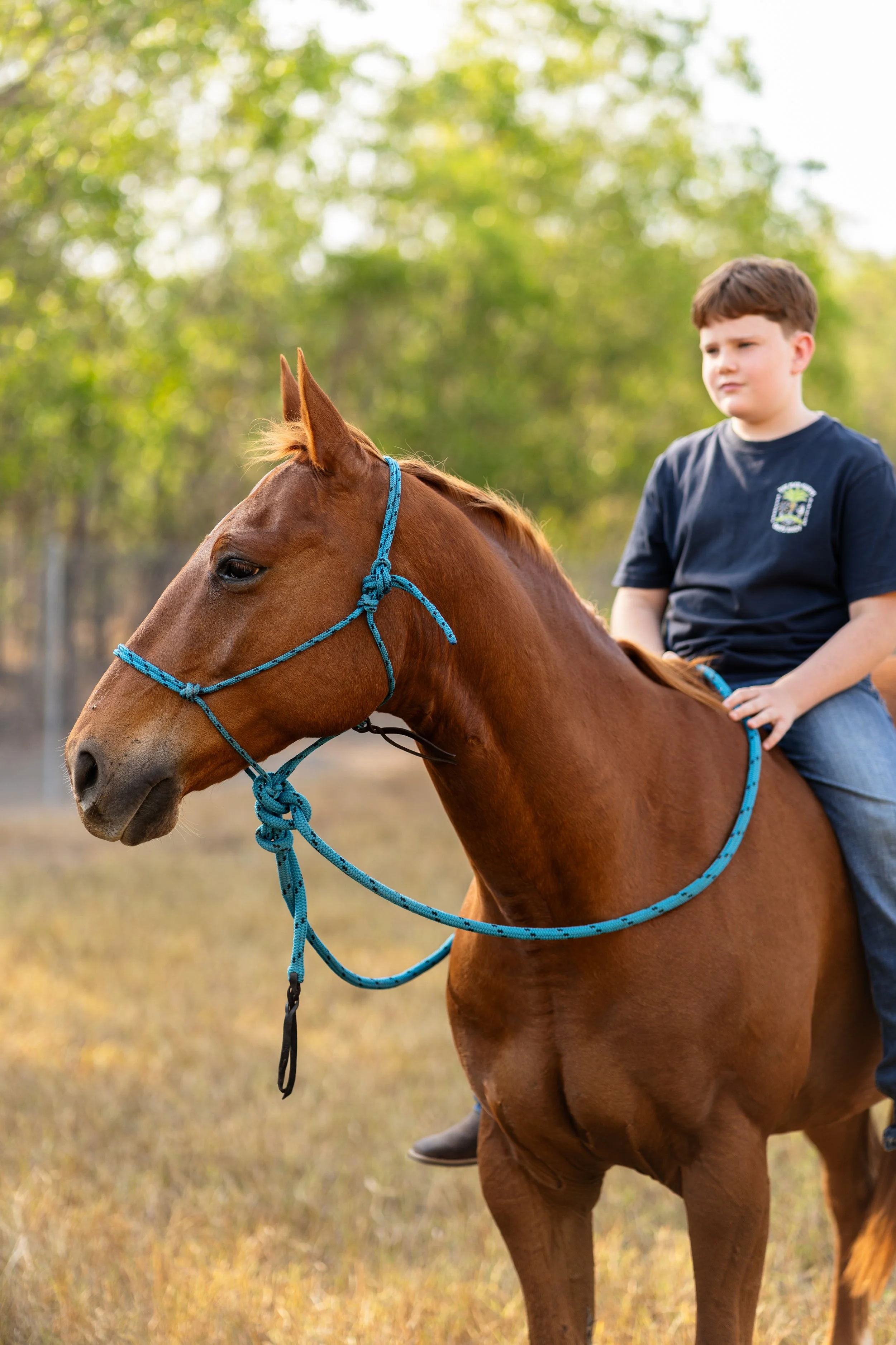 IGP Amy horse test shoot-12.jpg