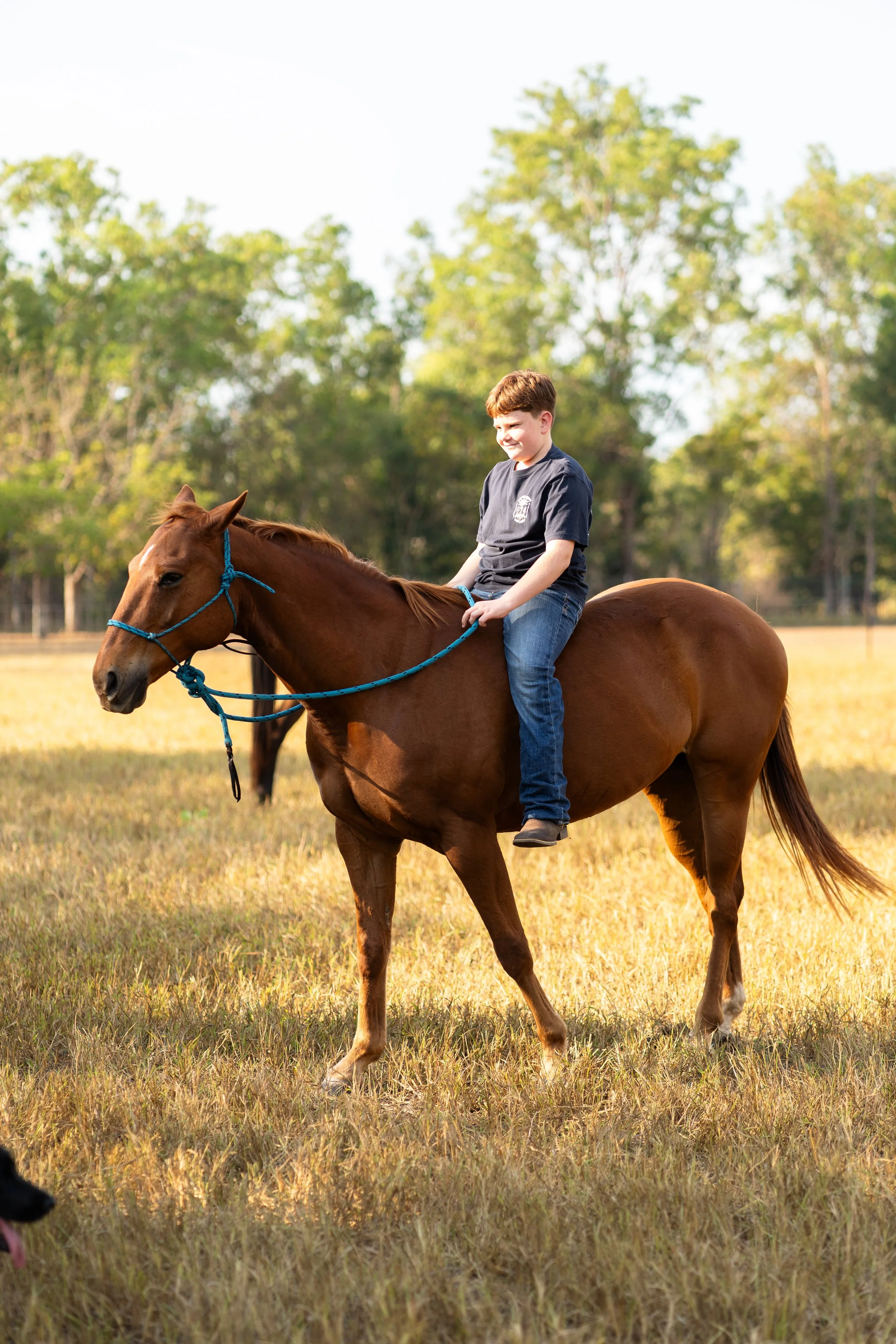IGP Amy horse test shoot-11.jpg