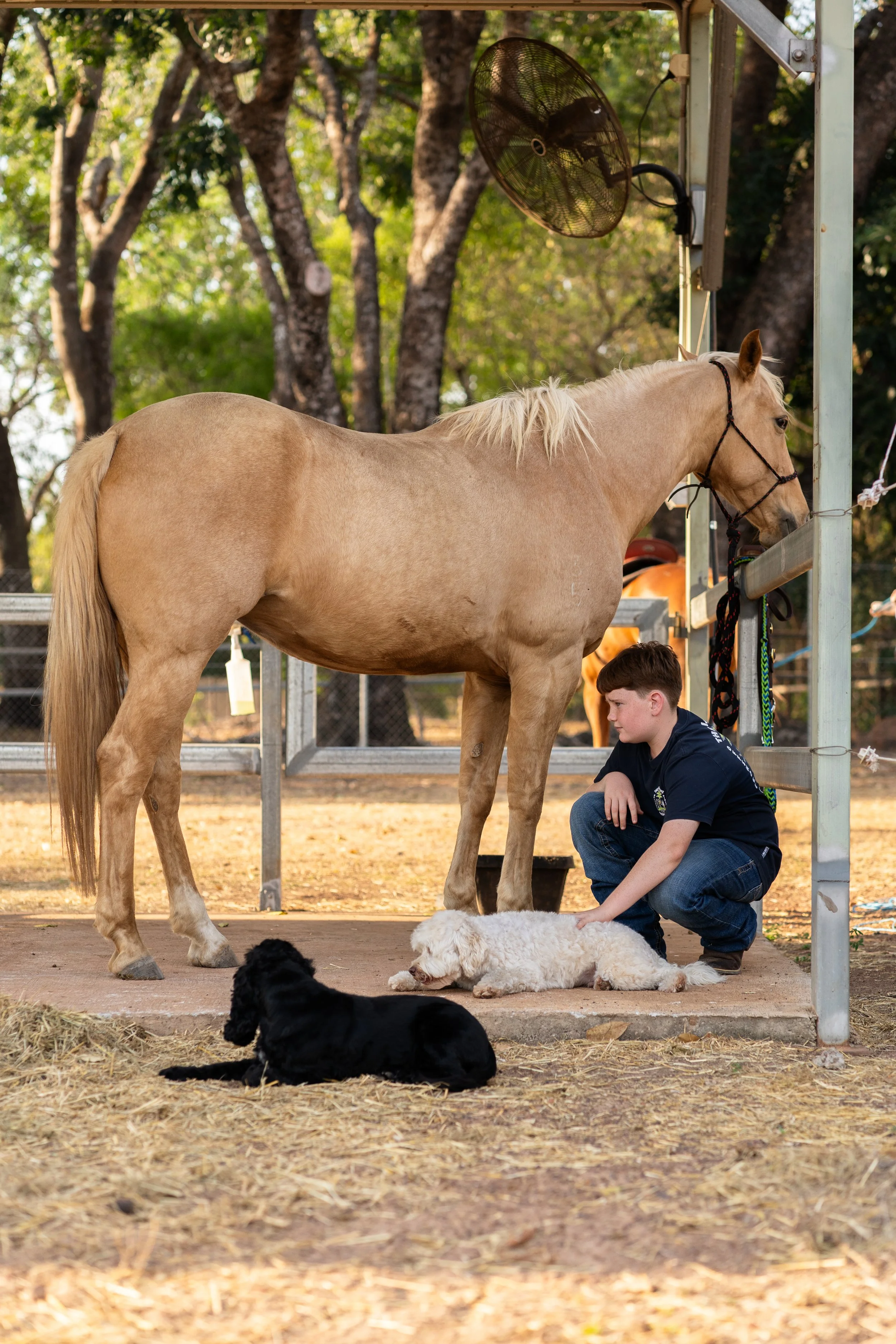 IGP Amy horse test shoot-16.jpg