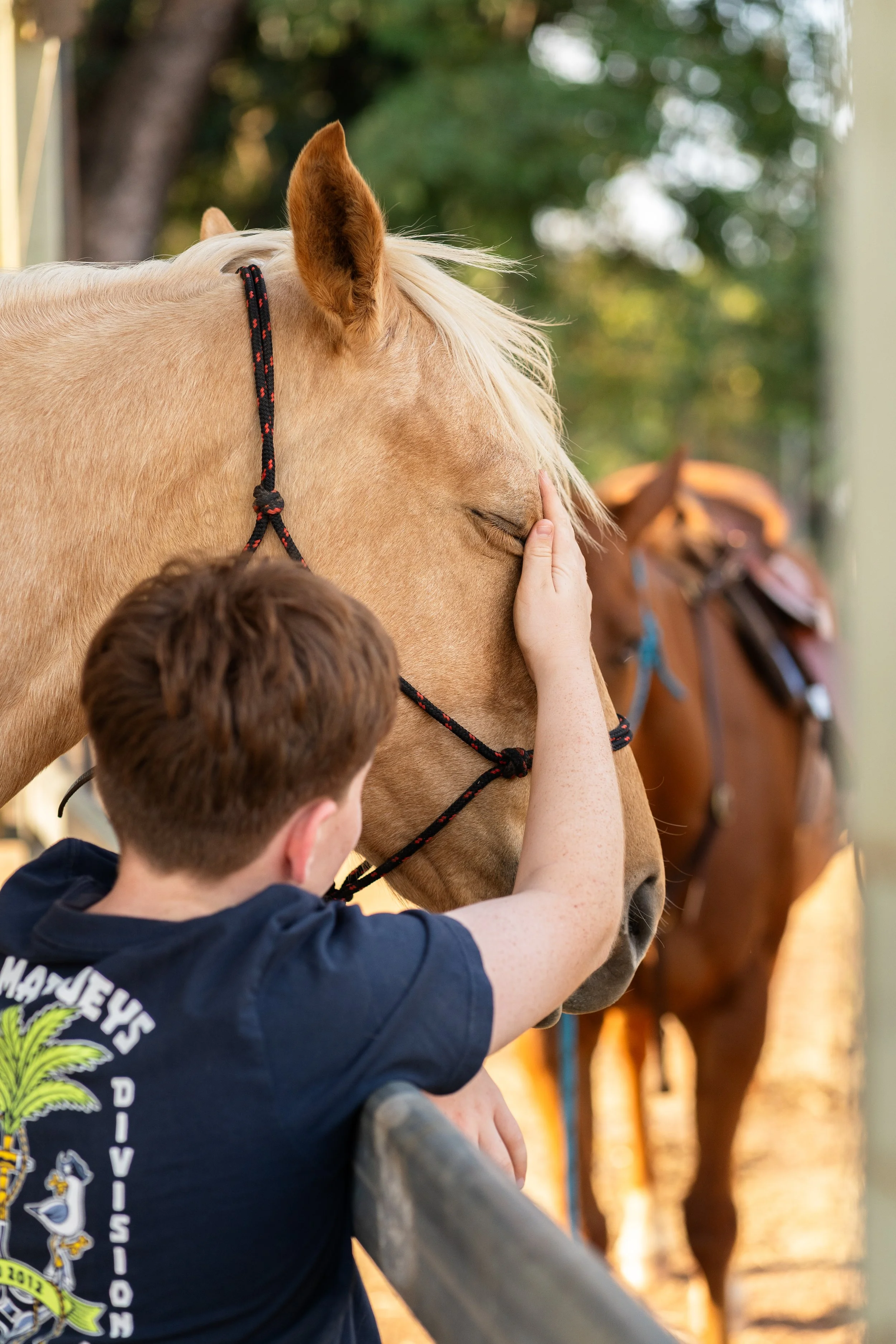 IGP Amy horse test shoot-17.jpg