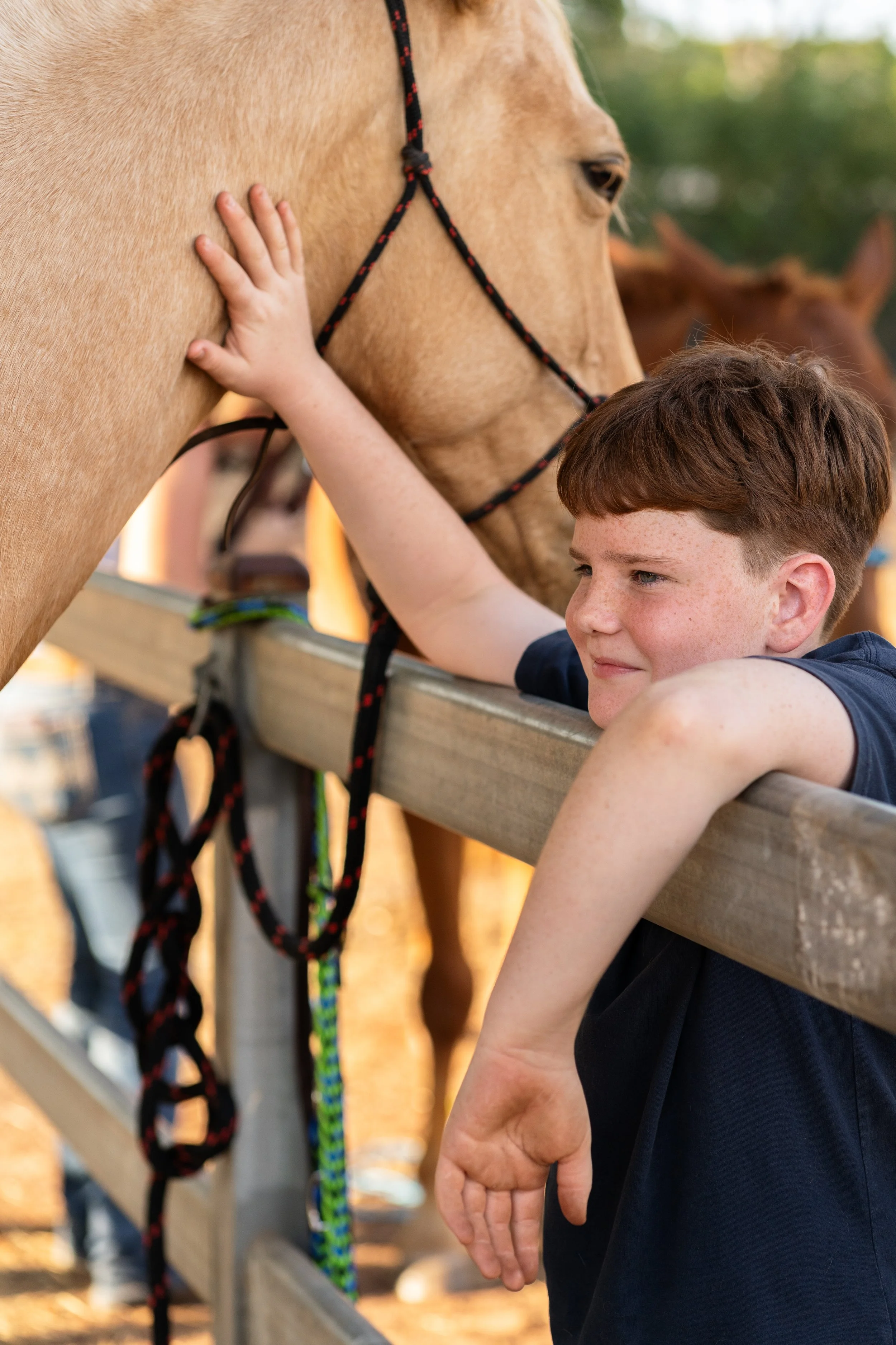 IGP Amy horse test shoot-19.jpg