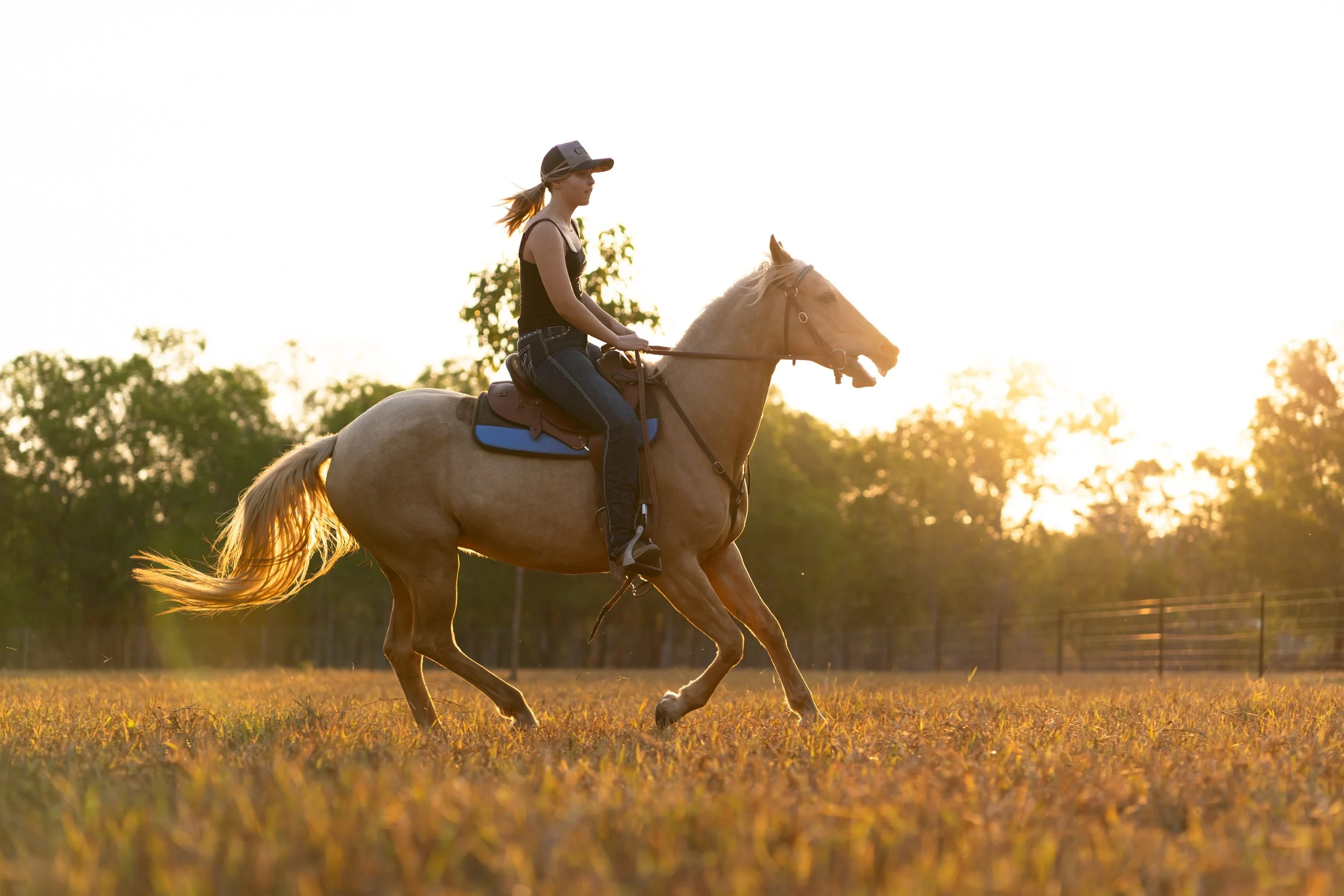 IGP Amy horse test shoot-58.jpg