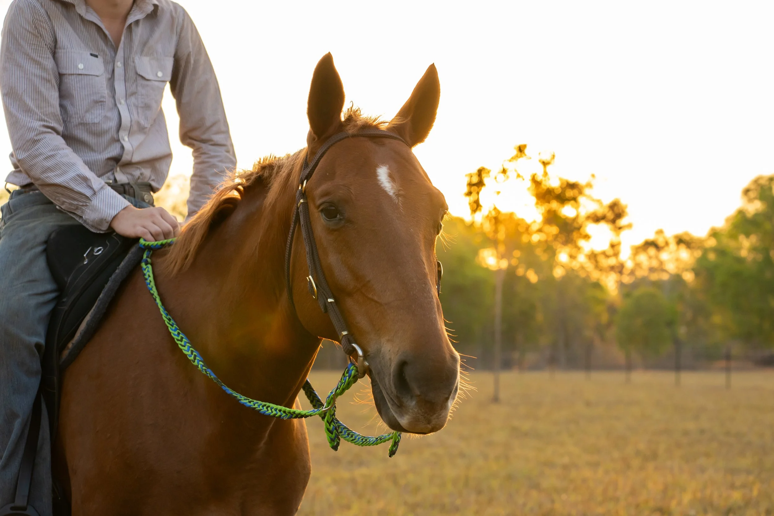 IGP Amy horse test shoot-65.jpg