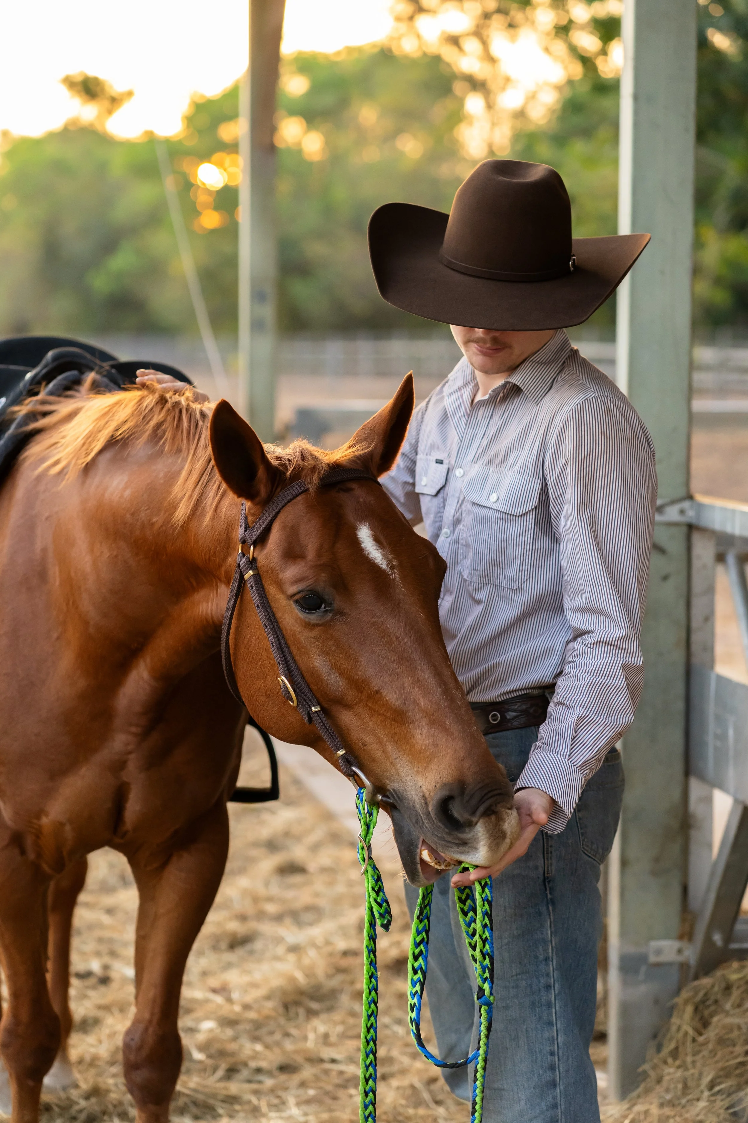 IGP Amy horse test shoot-73.jpg