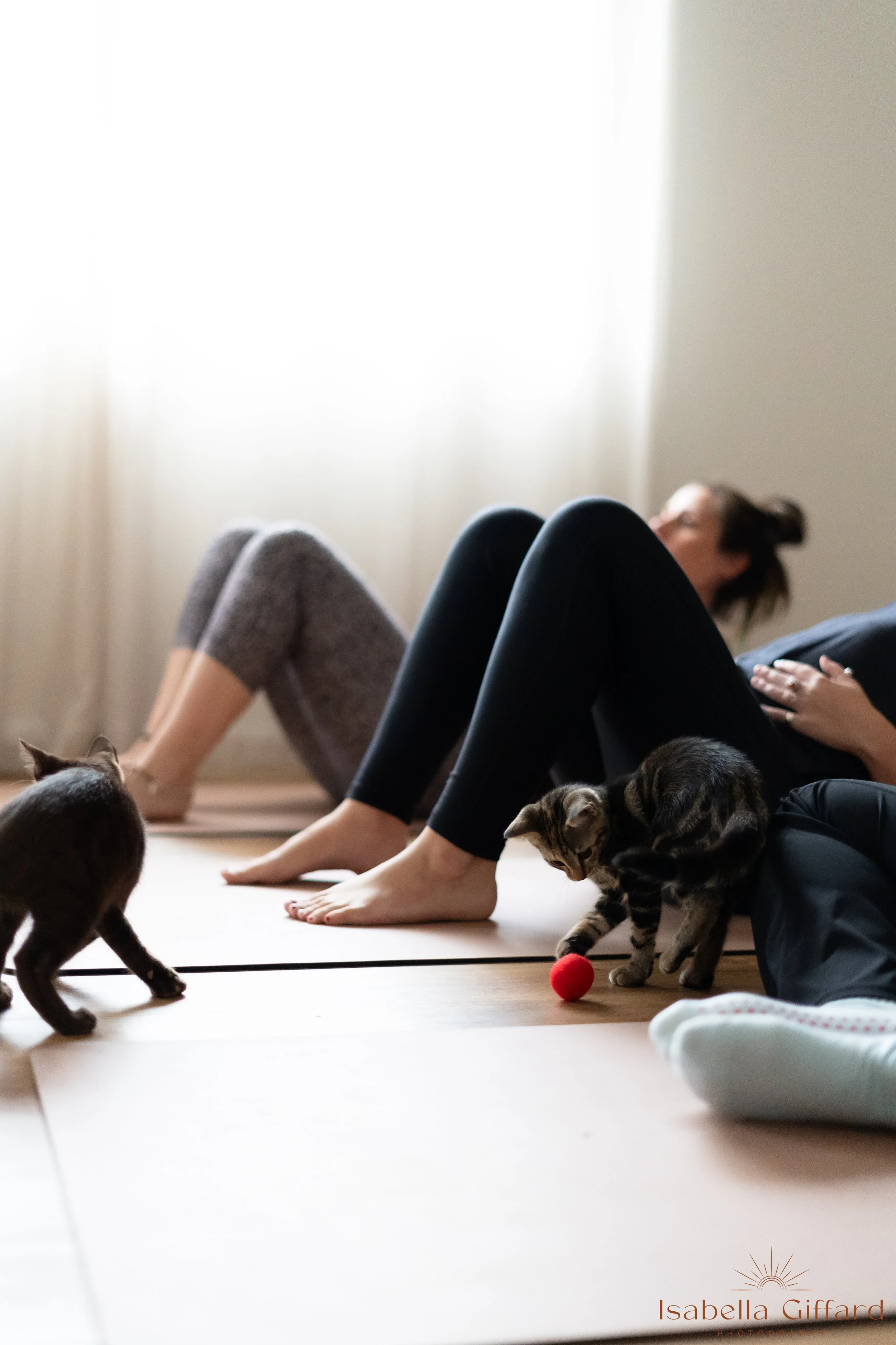 IGP Save A Paw NT with Ground and Flow Kitten Yoga-59.jpg