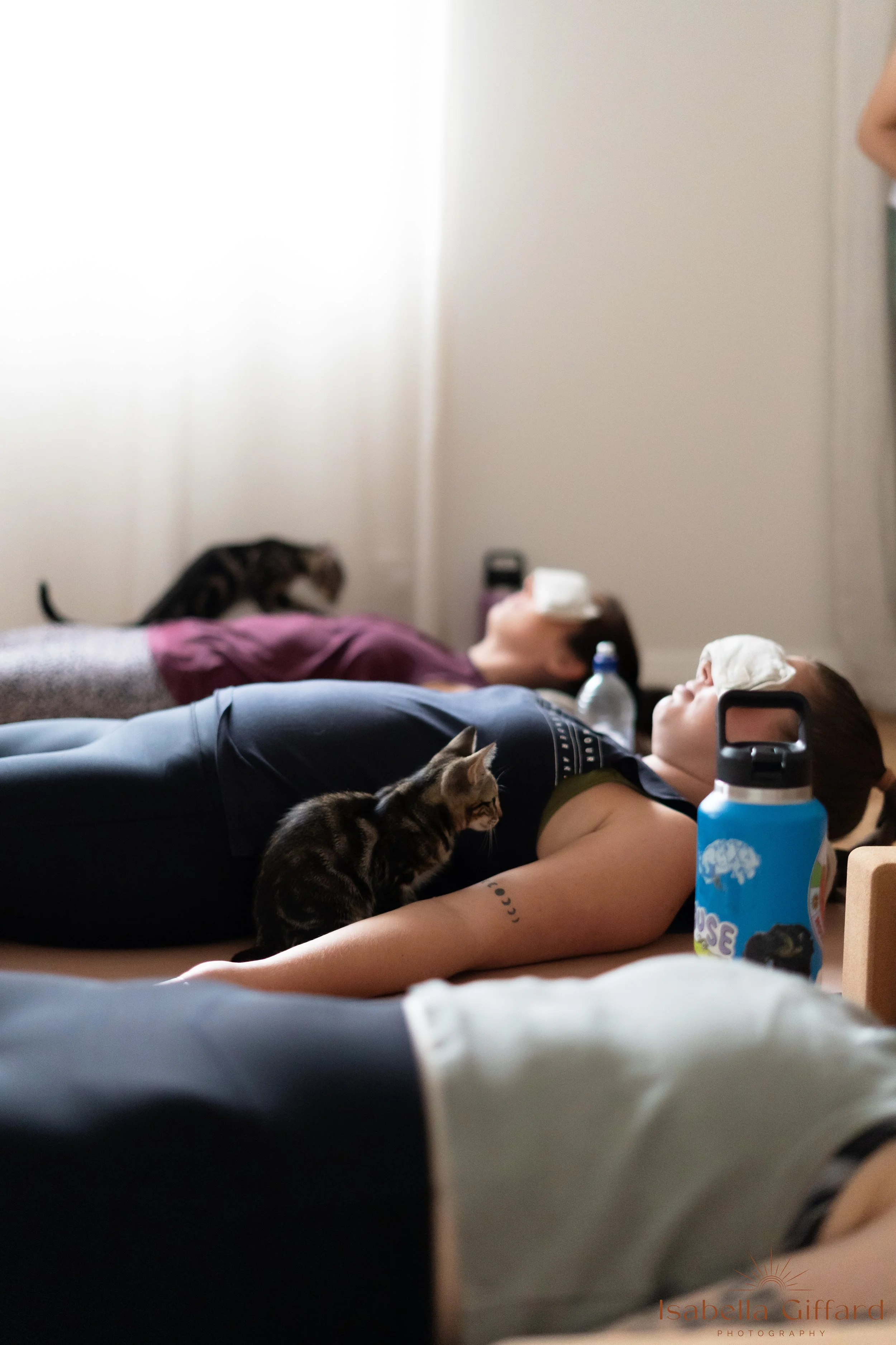 IGP Save A Paw NT with Ground and Flow Kitten Yoga-79.jpg